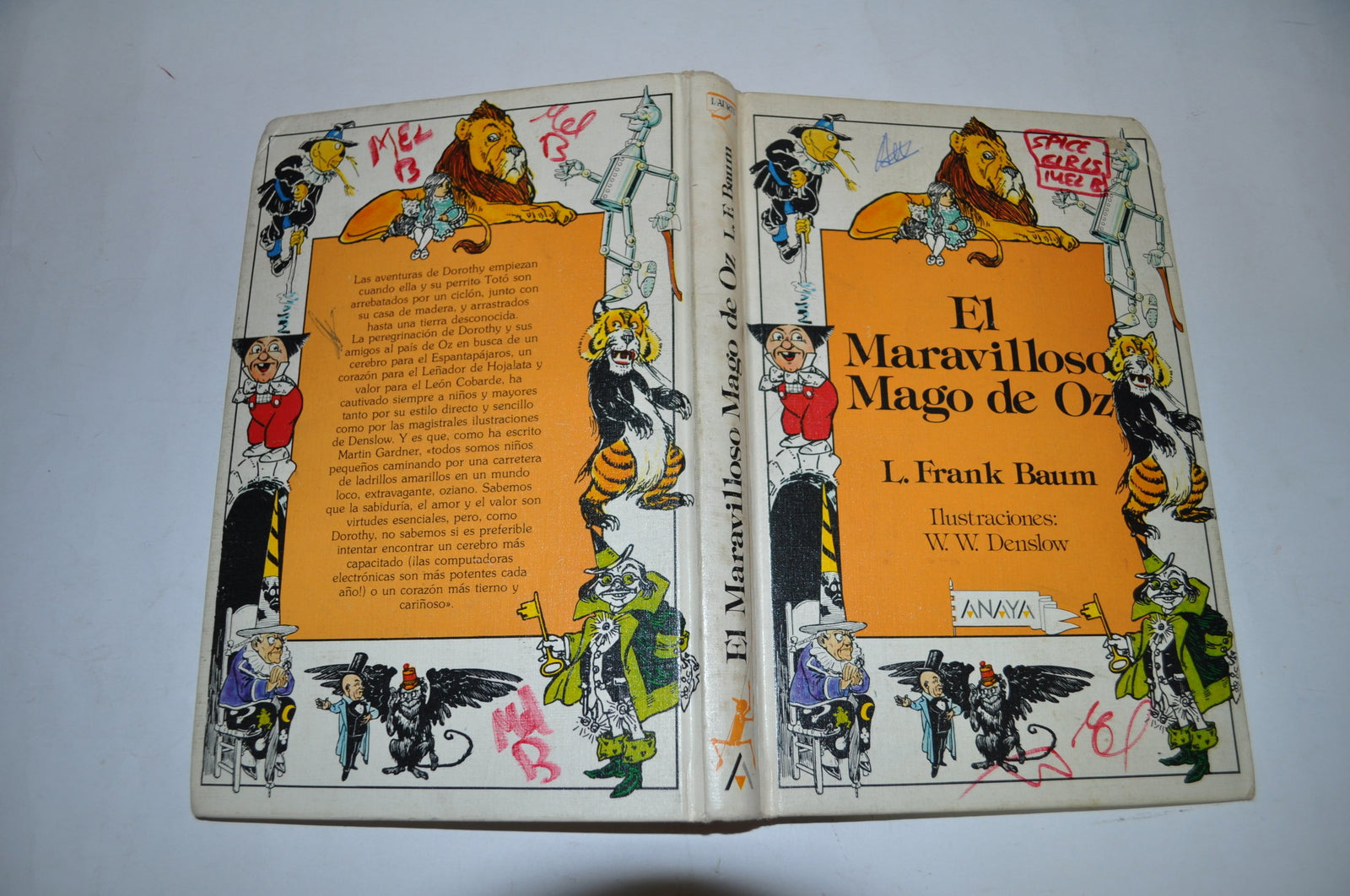 El Maravilloso Mago De Oz/the Wizard of Oz