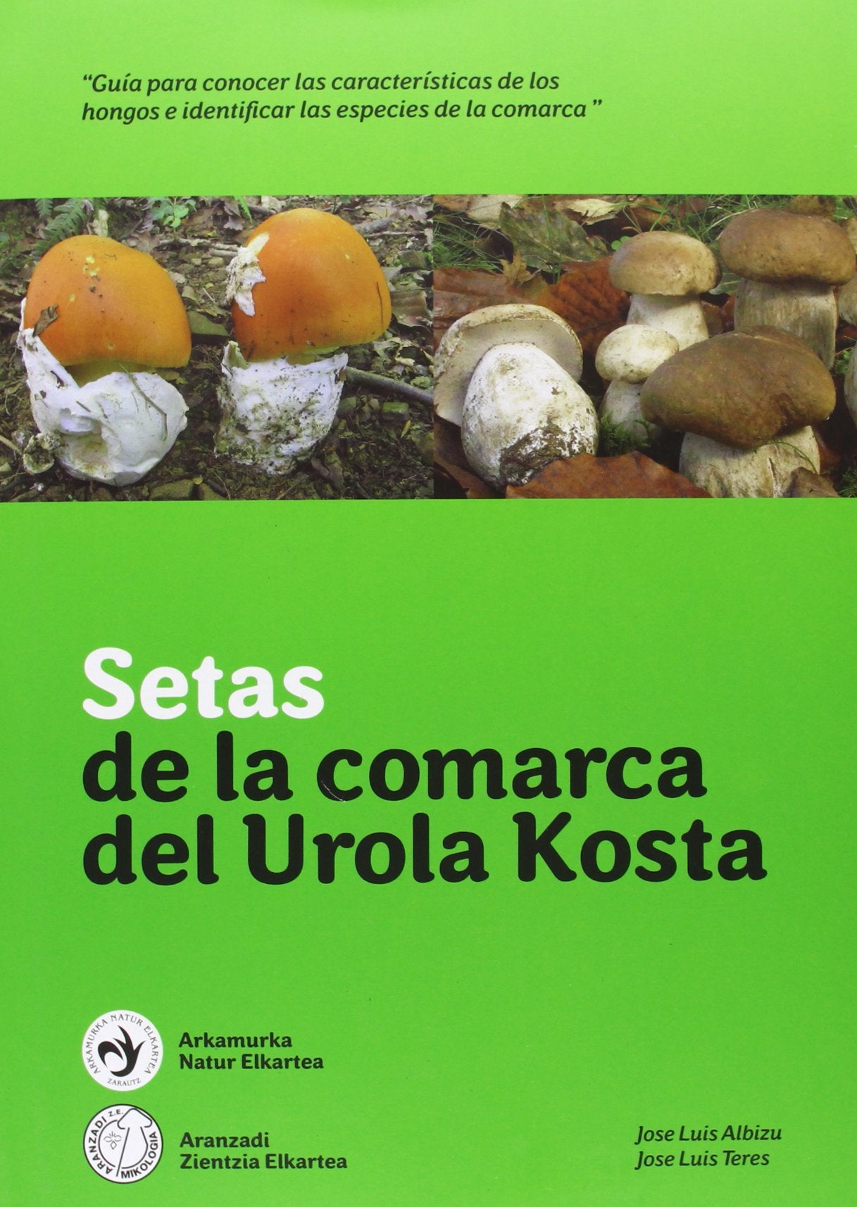 Setas de la comarca de urola-kosta