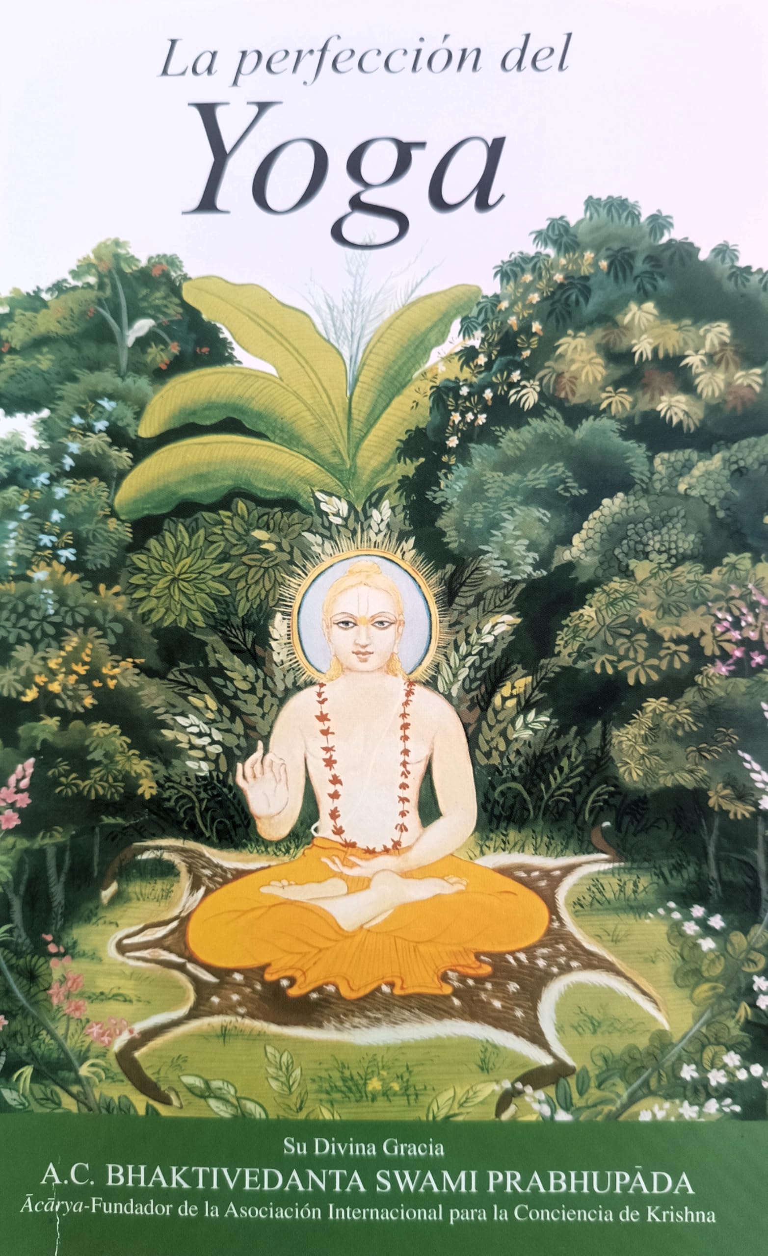 La perfeccion del yoga