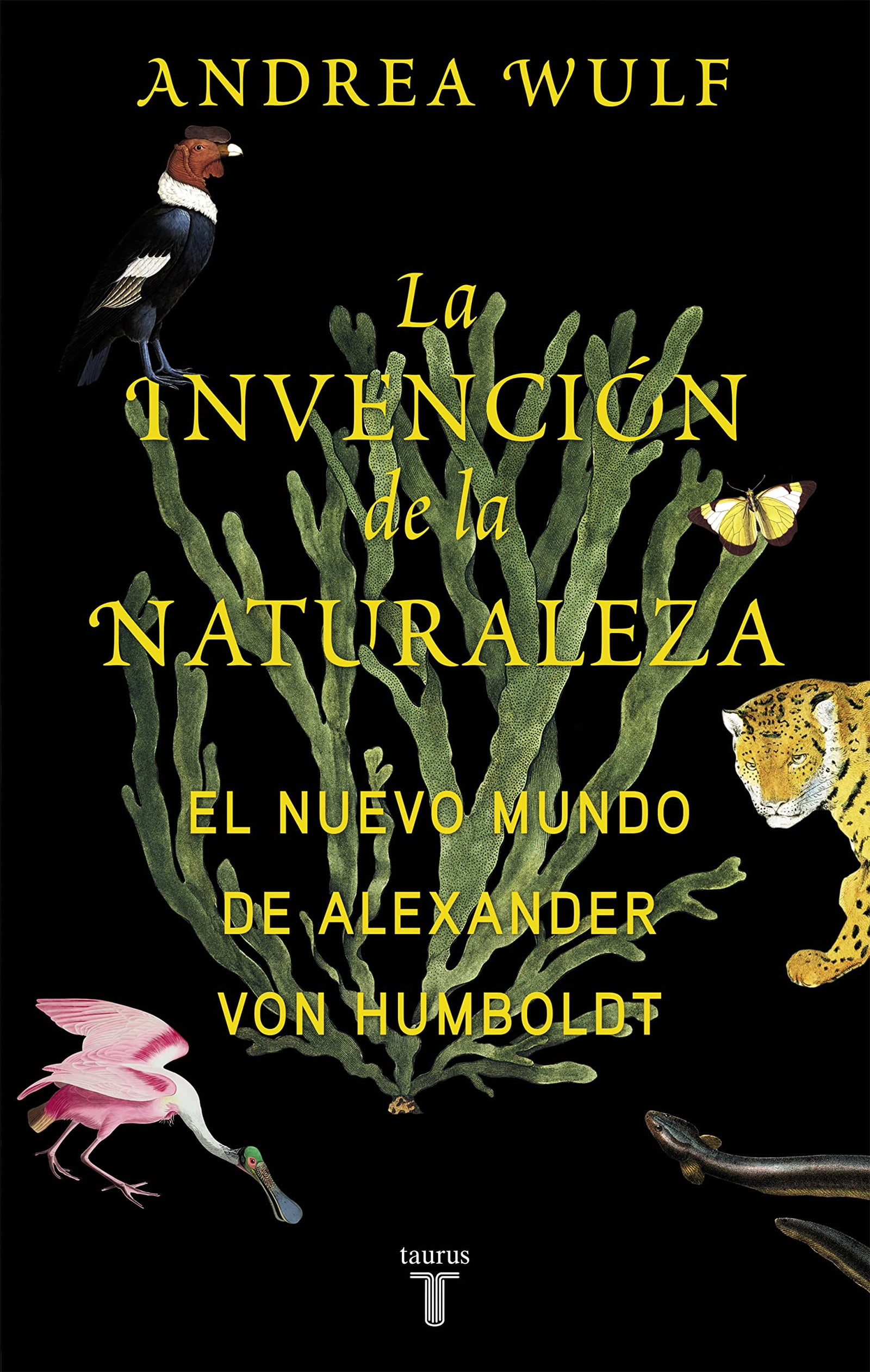 La invención de la naturaleza: El Nuevo Mundo de Alexander von Humboldt (Biografías)