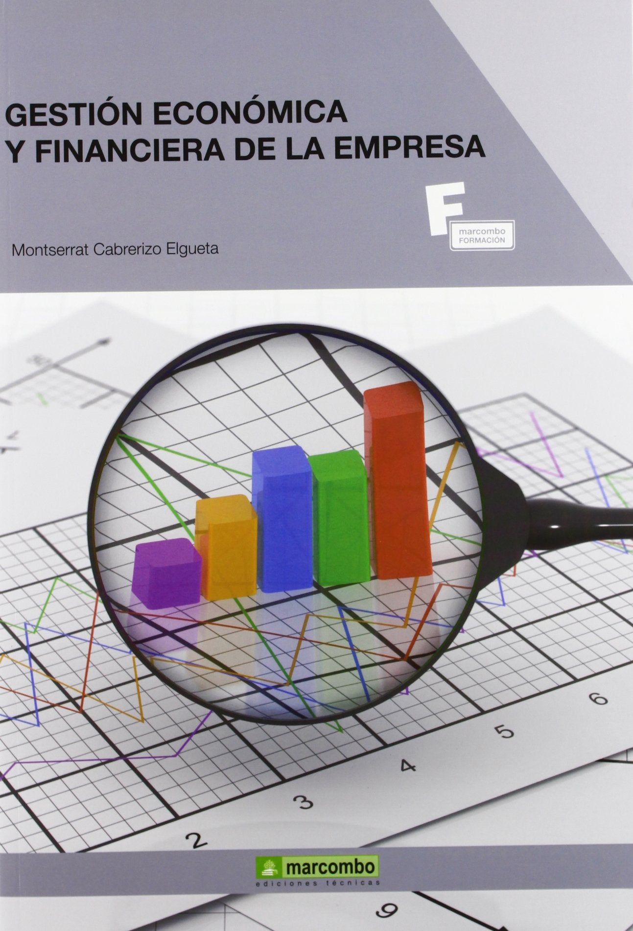 Gestión económica y financiera de la empresa: 1 (MARCOMBO FORMACIÓN)