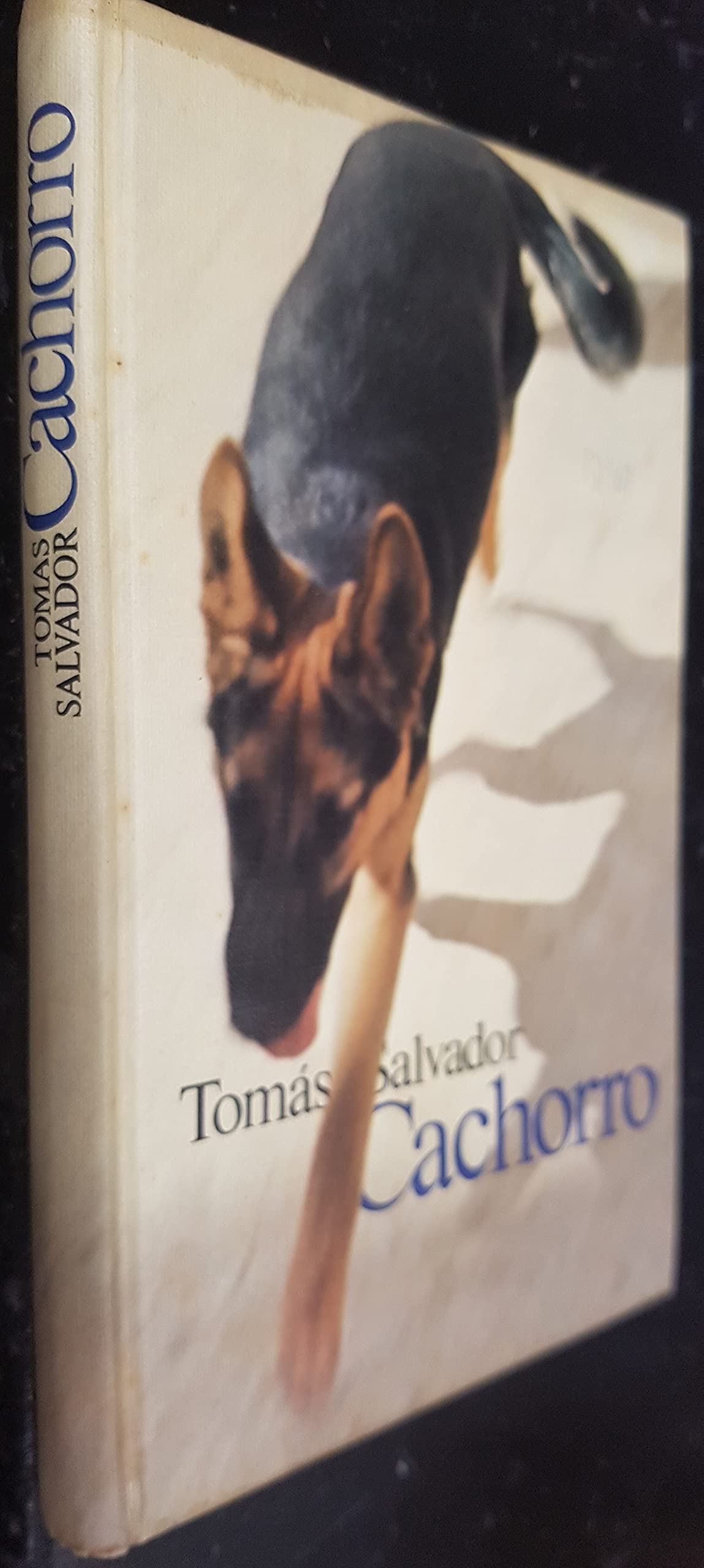 Cachorro