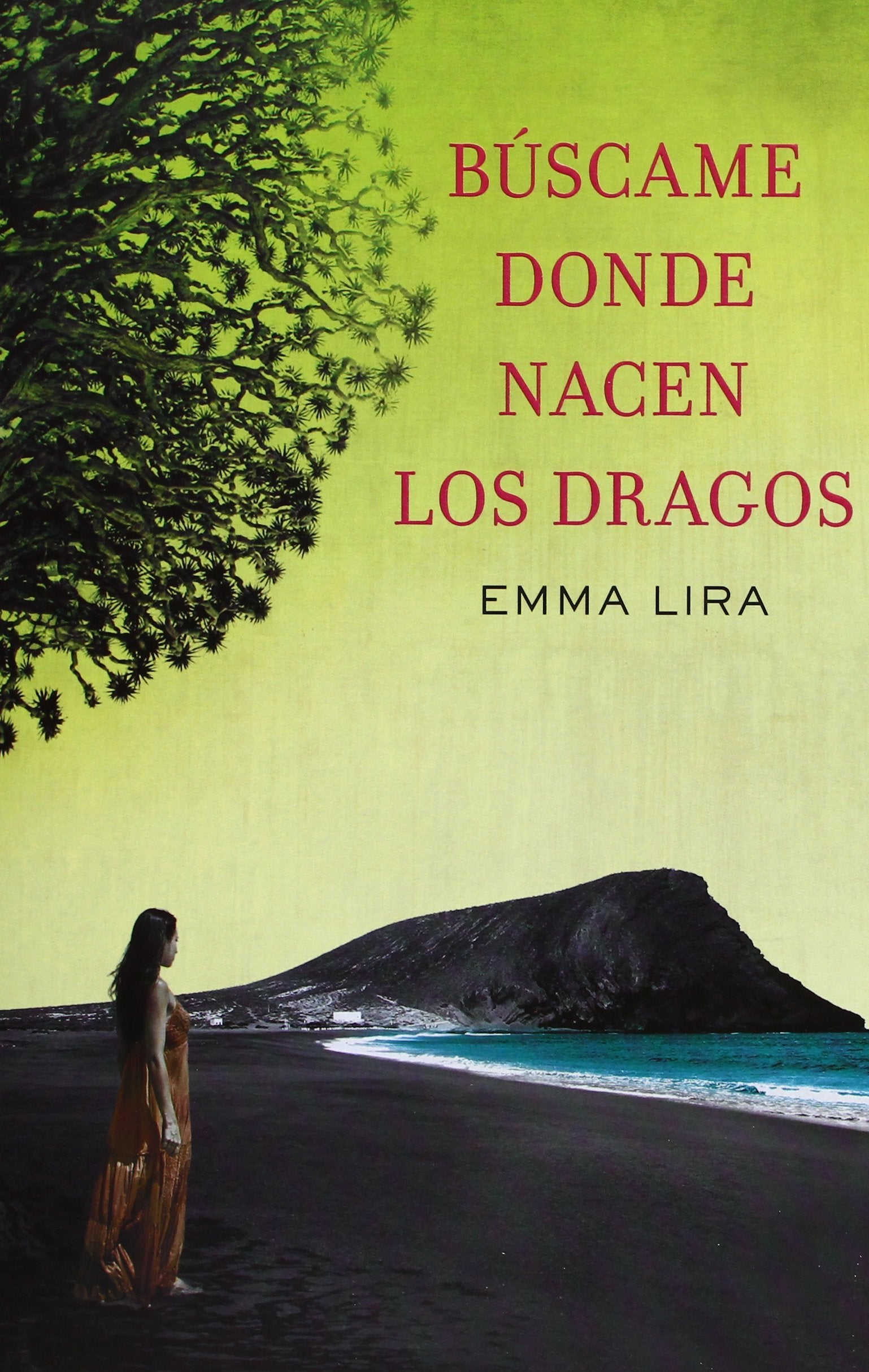 Búscame donde nacen los dragos (Éxitos)