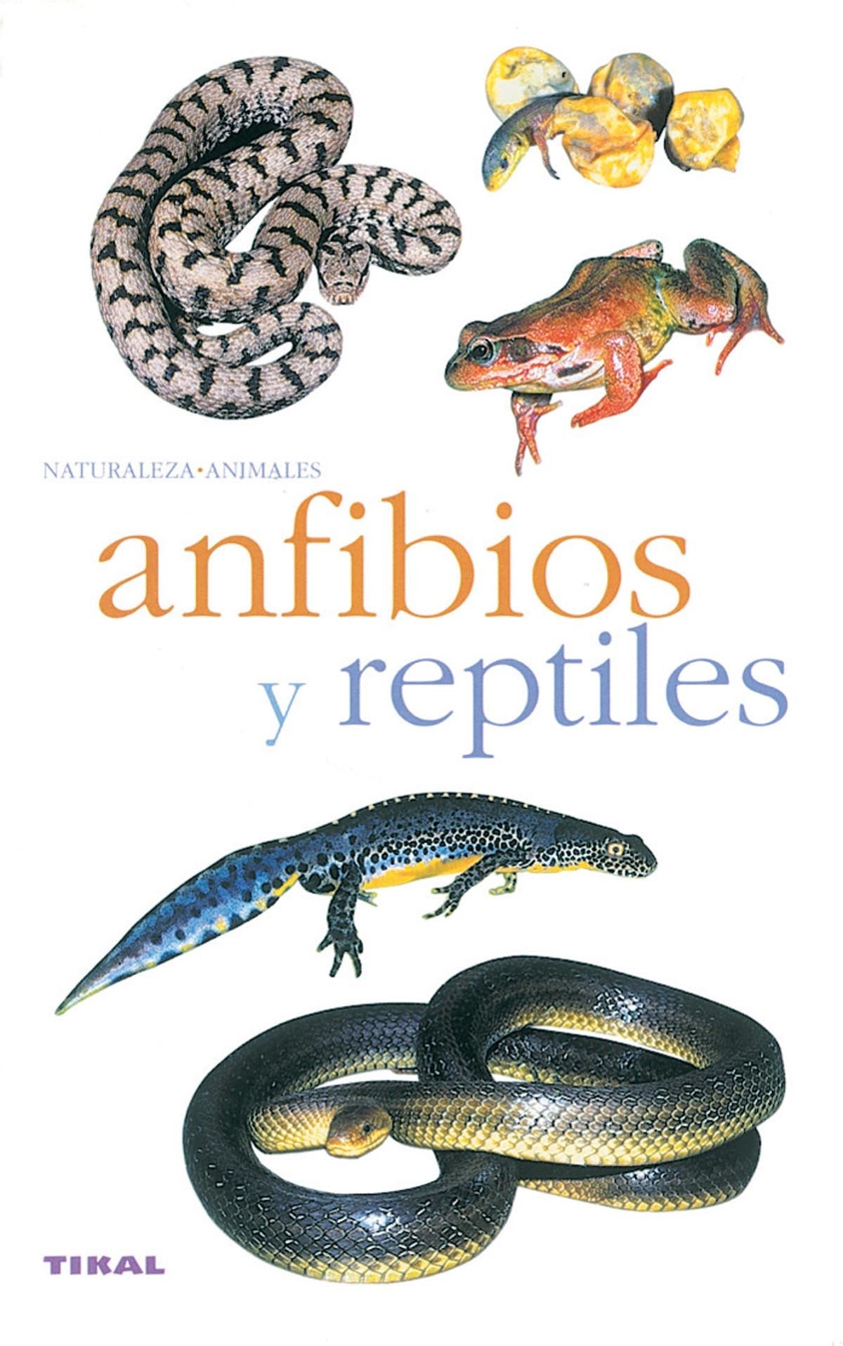 Anfibios Y Reptiles(Naturaleza-Animales)
