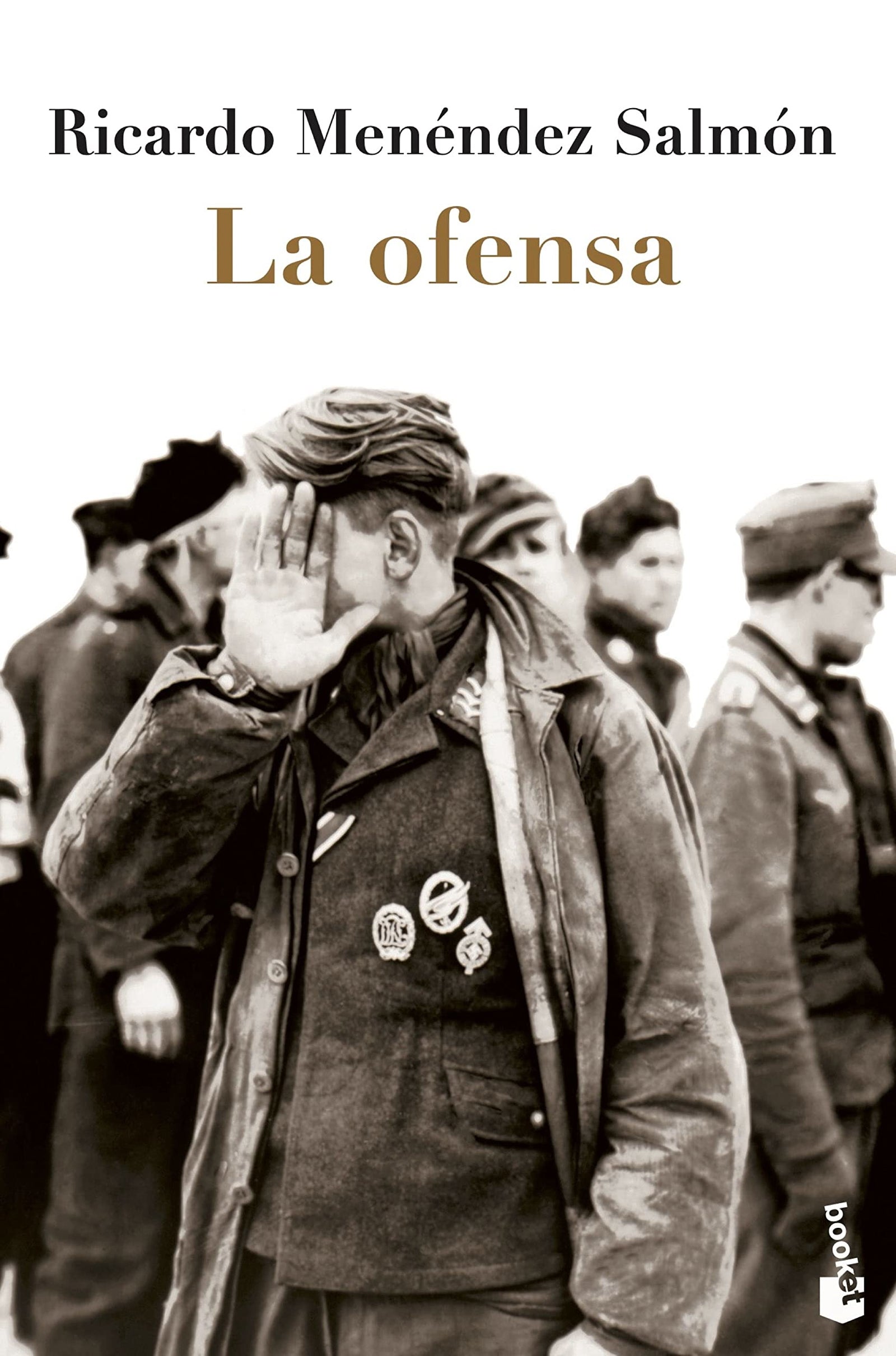 La ofensa (Novela)