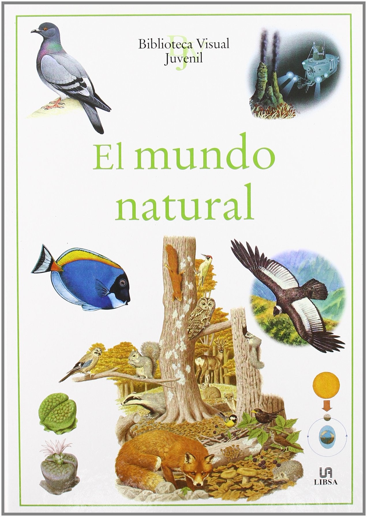 El Mundo Natural (Biblioteca Visual Juvenil)