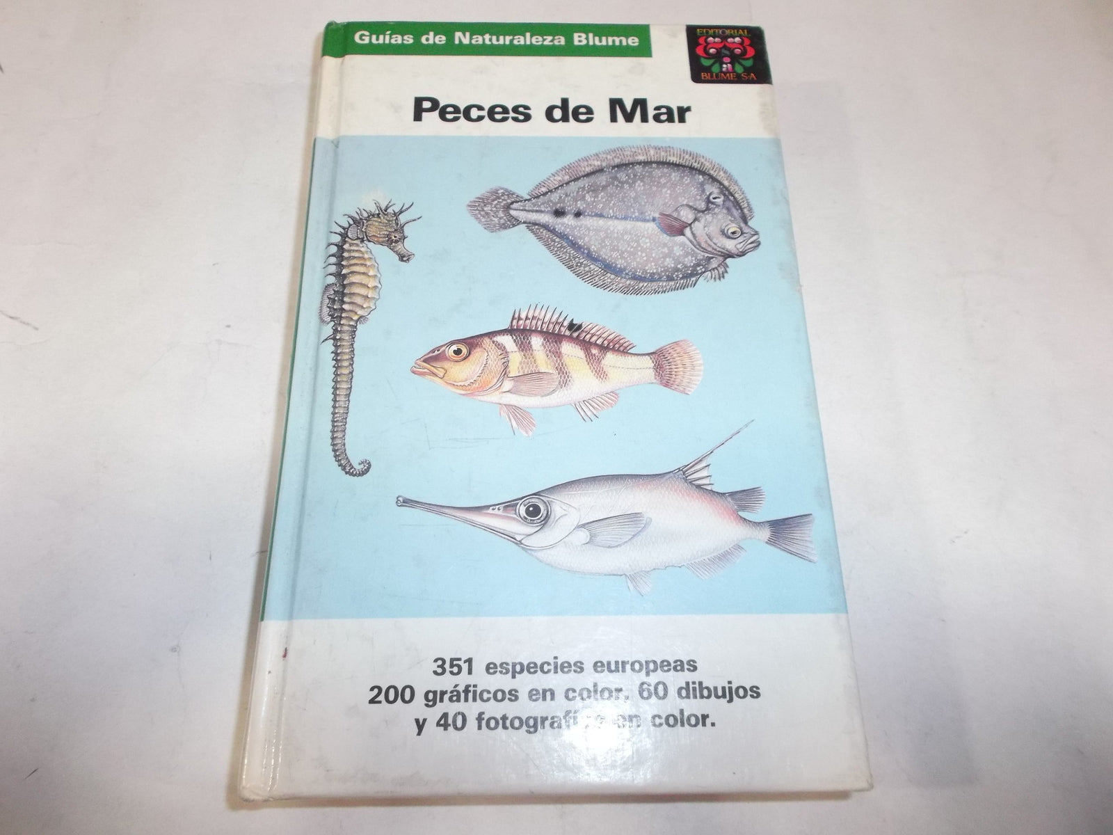 PECES DE MAR