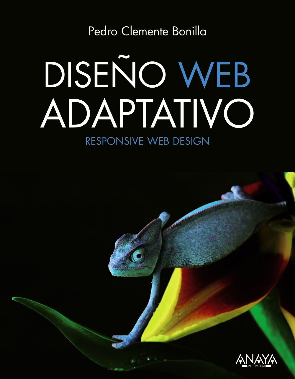 Diseño Web Adaptativo (Títulos Especiales)