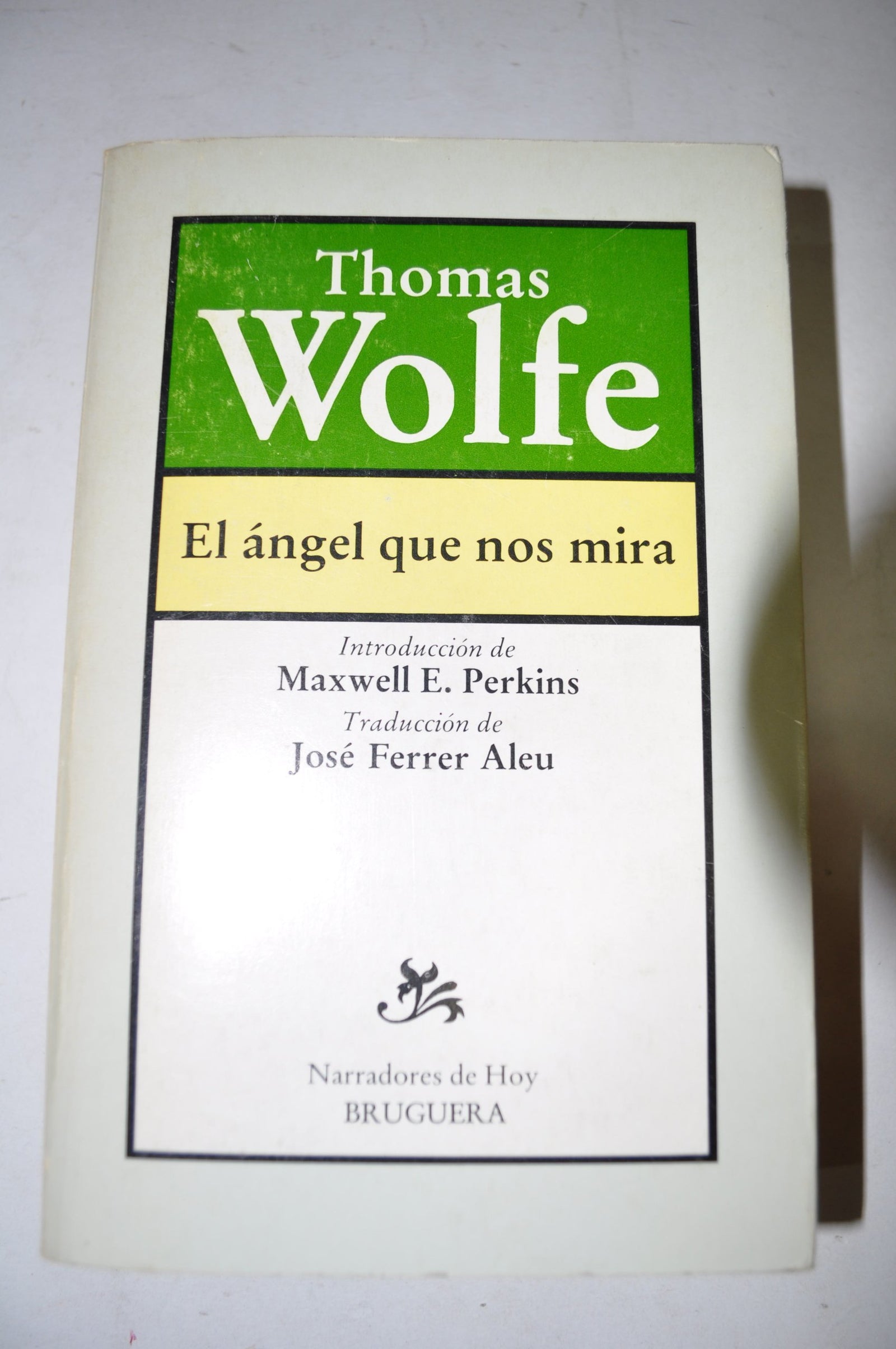 El ángel que nos mira.