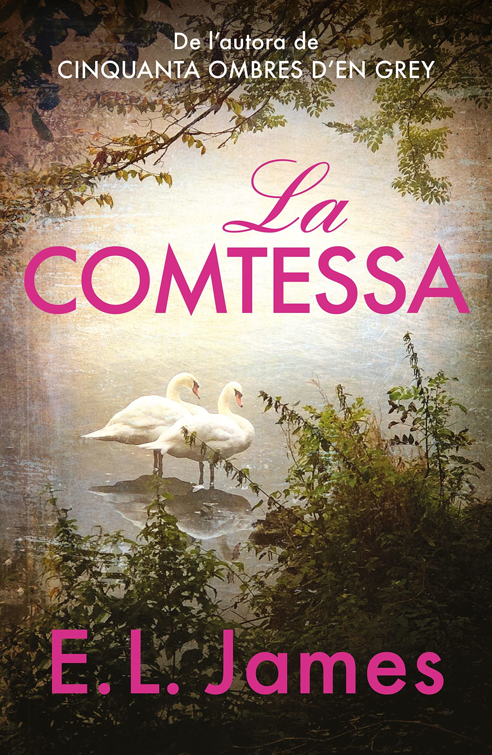La comtessa (Mister 2) (Narrativa)