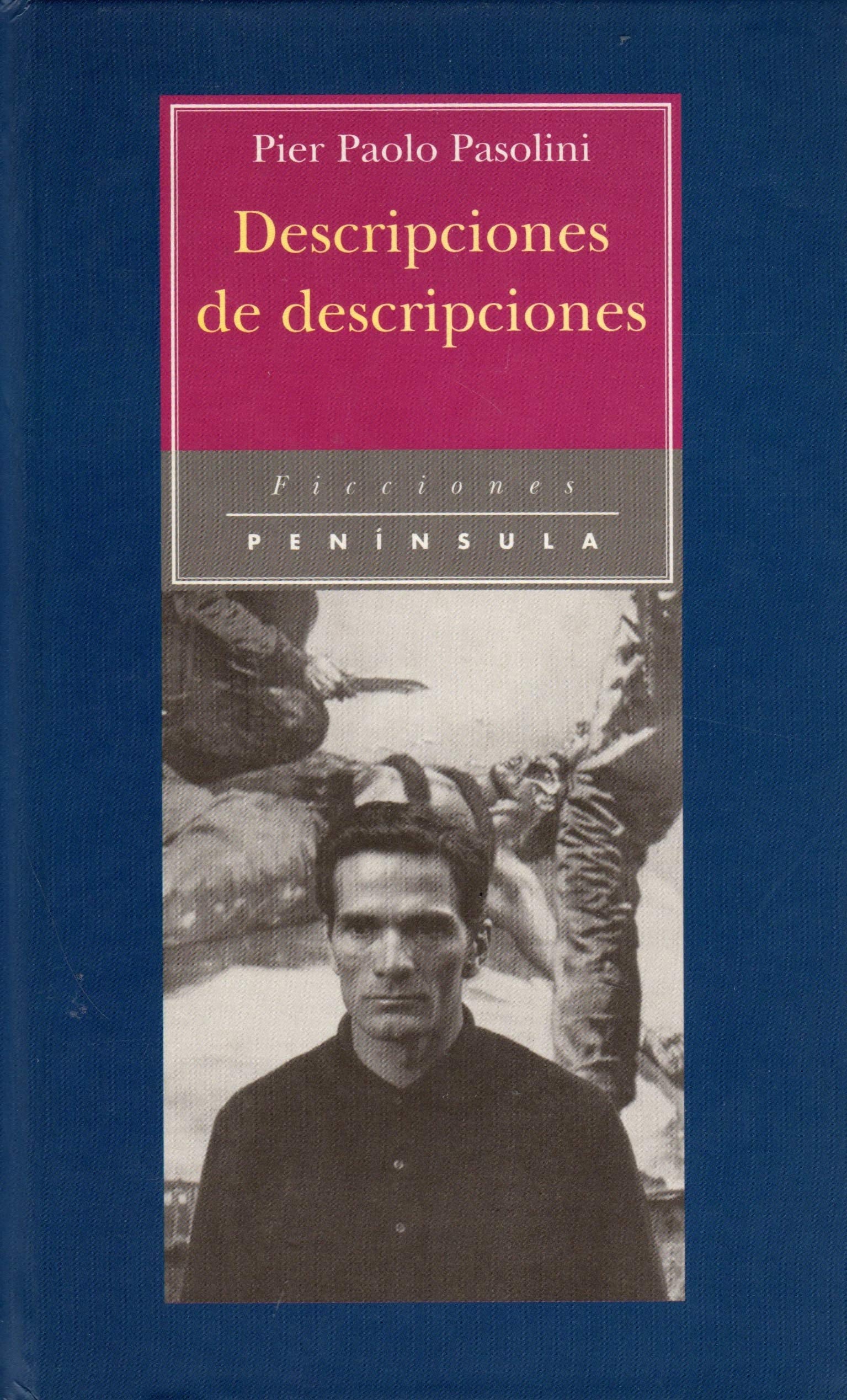Descripciones de descripciones: 13 (FICCIONES)