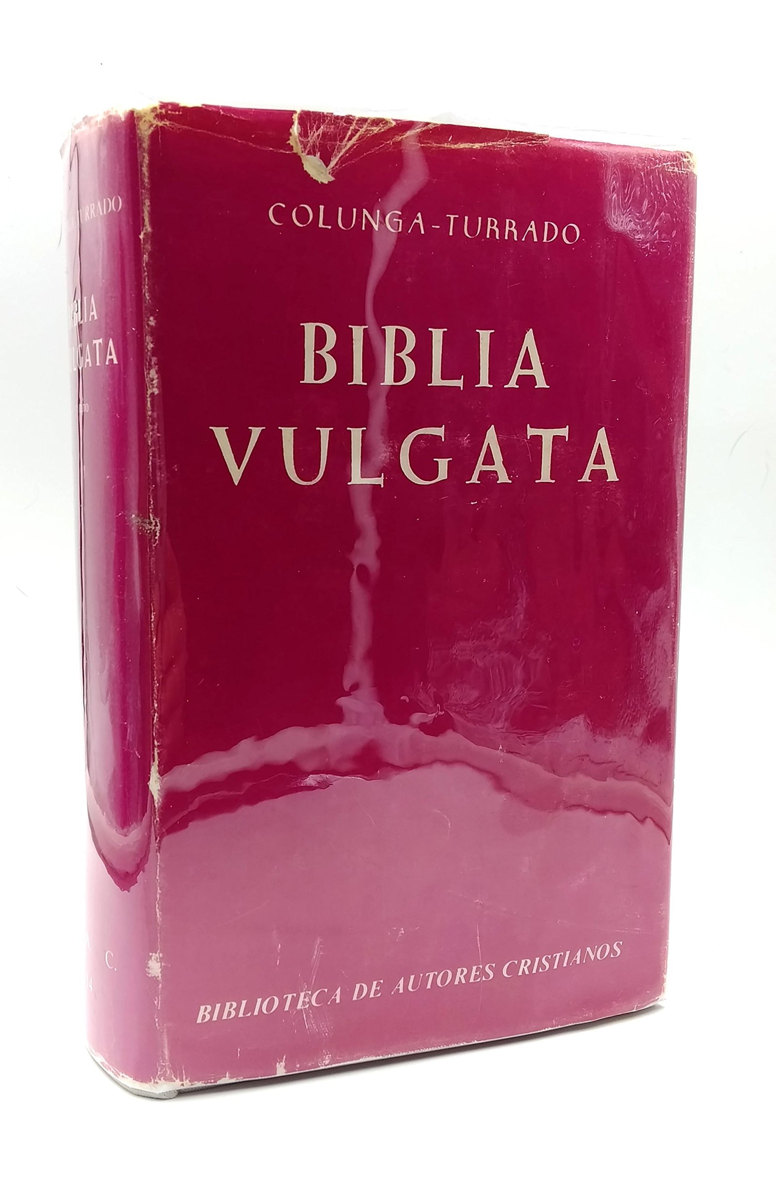 Biblia vulgata latina