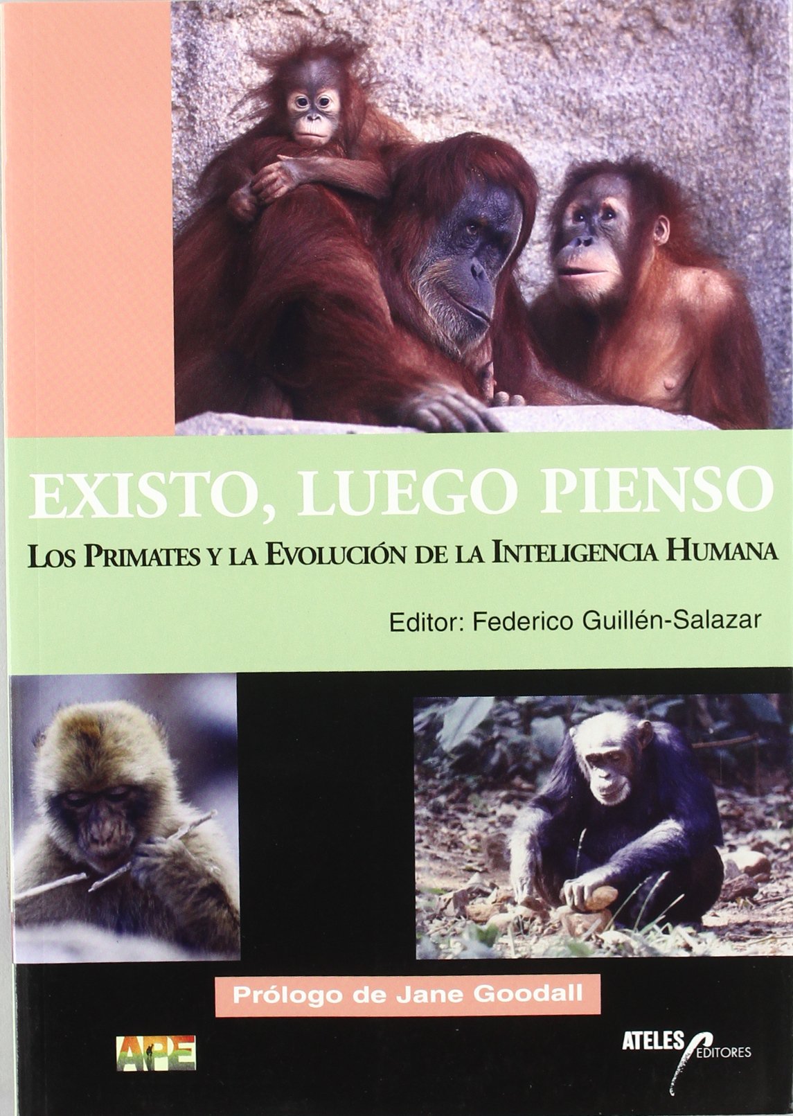 Existo, luego pienso : los primates y la evolución de la inteligencia humana