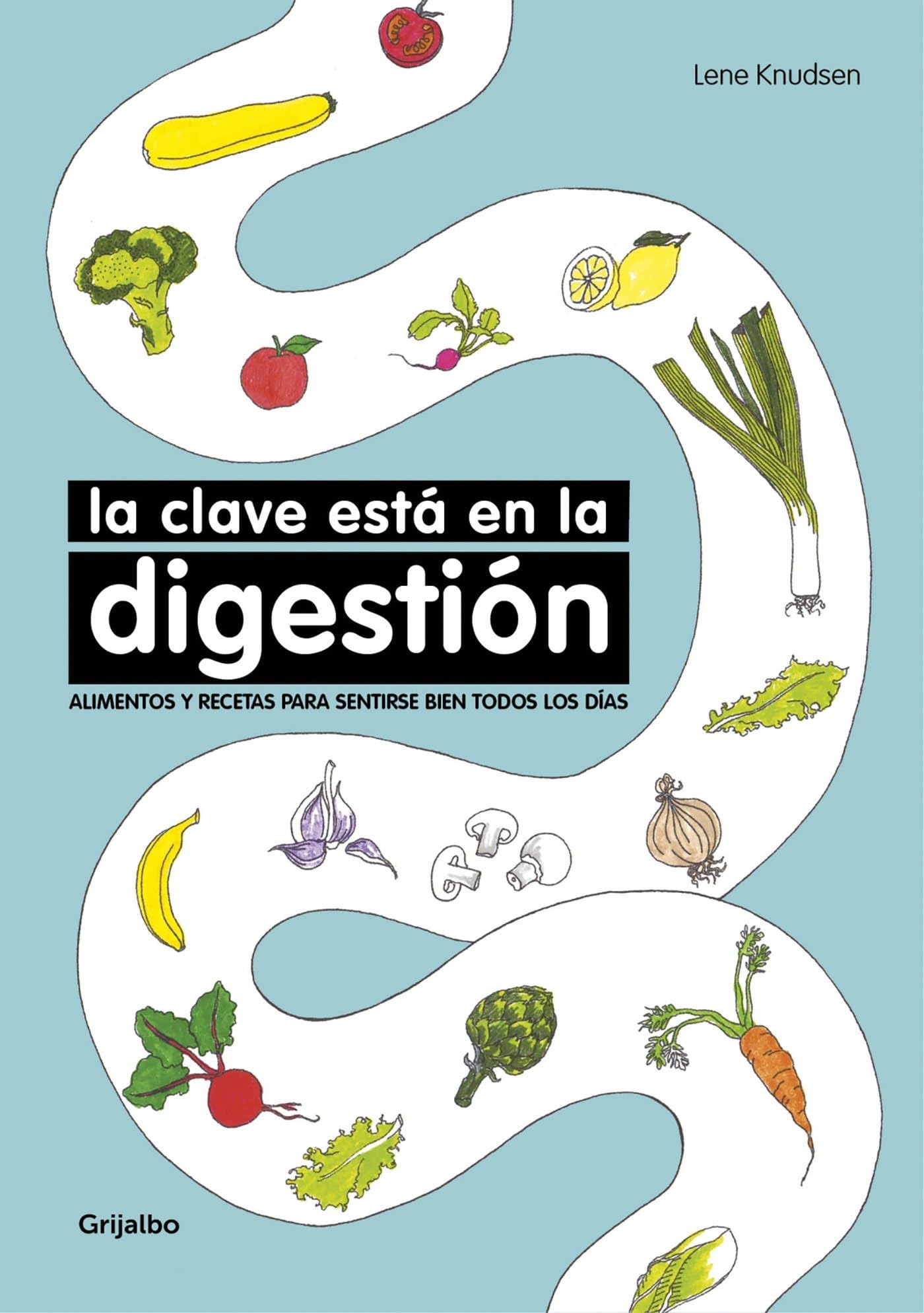 La clave está en la digestión: Alimentos y recetas para sentirse bien todos los días (Bienestar, salud y vida sana)