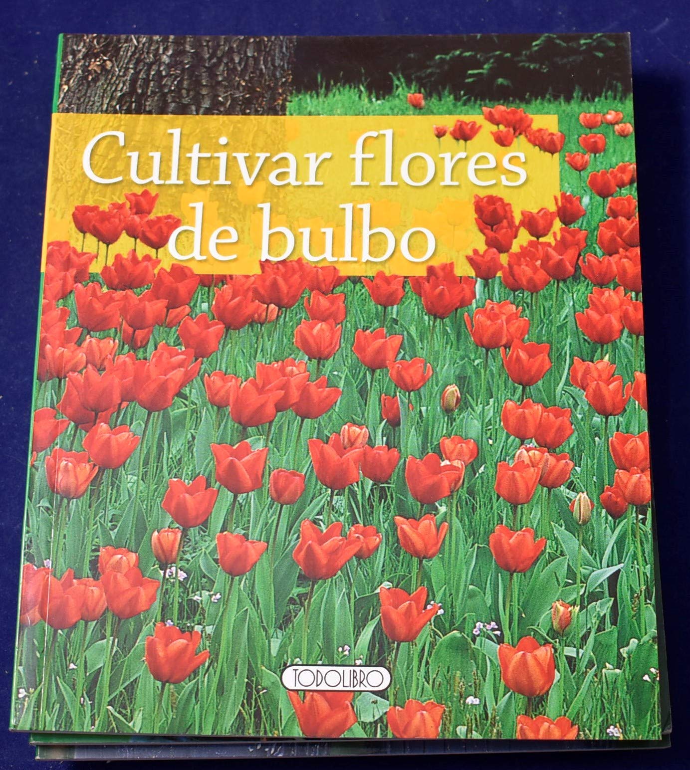 Cultivar Flores de bulbo