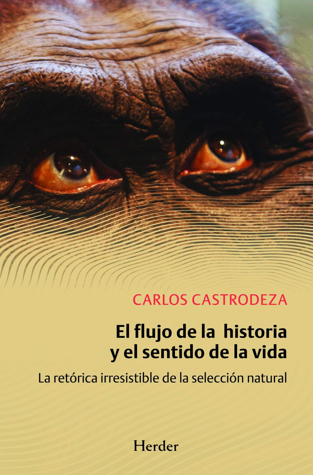 Flujo de la historia y el sentido de la vida,El: La retórica irresistible de la selección natural (SIN COLECCION)