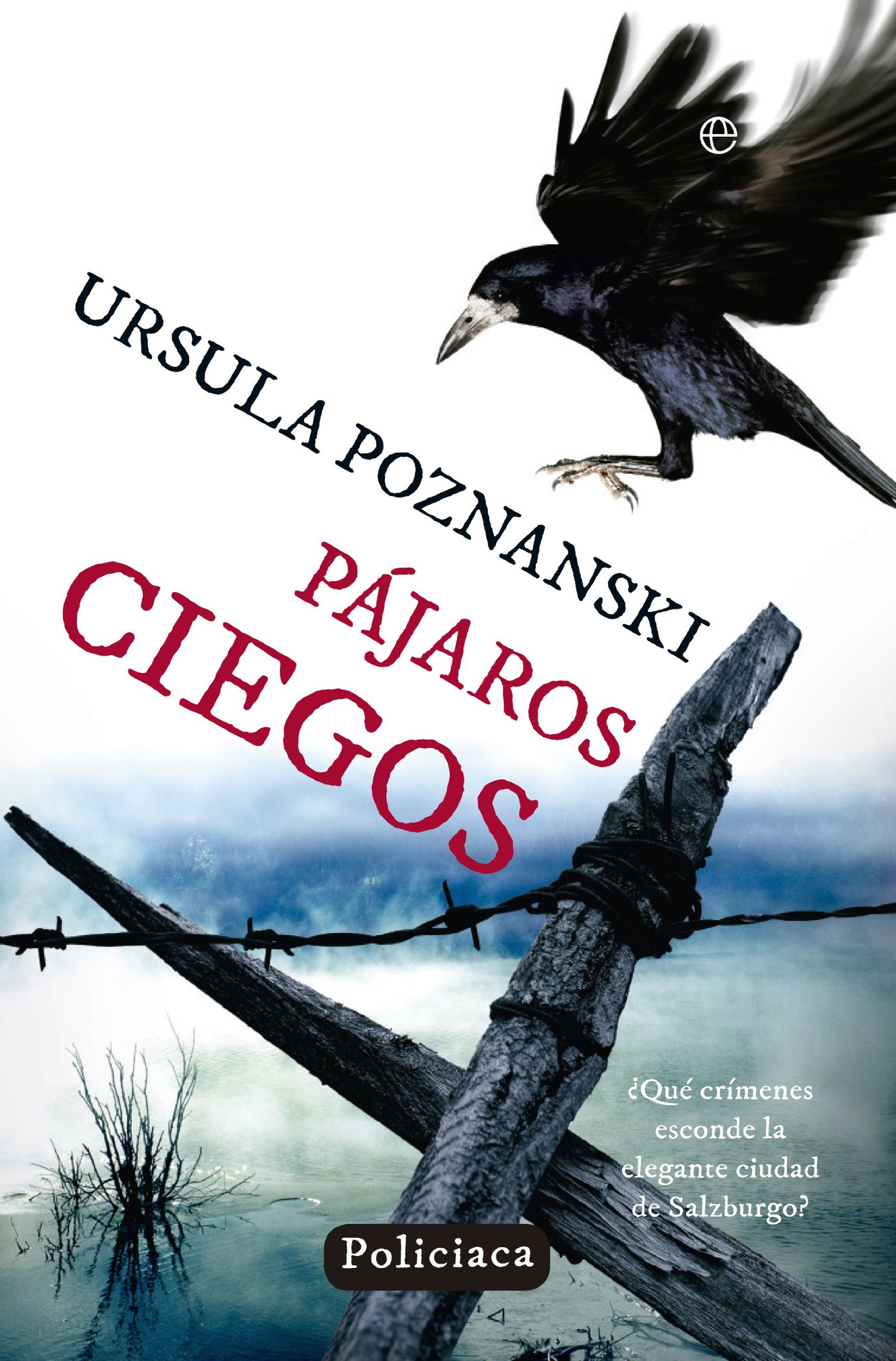 Pájaros ciegos (Ficción)