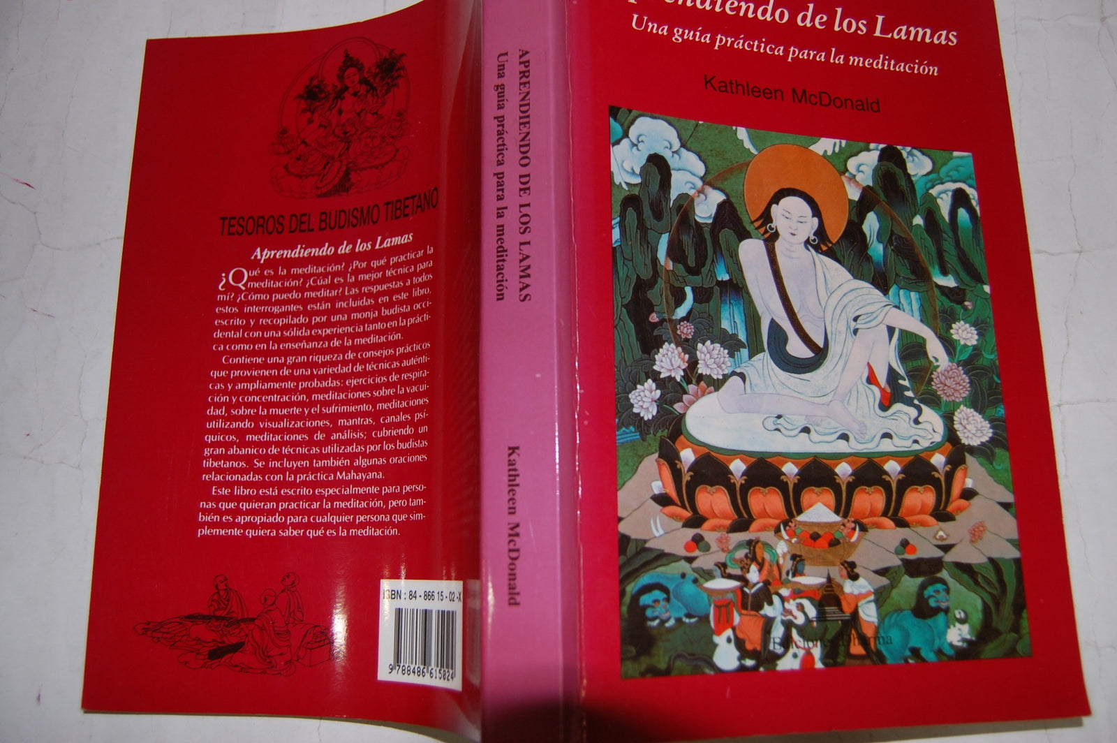 Aprendiendo de los lamas : una guia practica para la meditacion