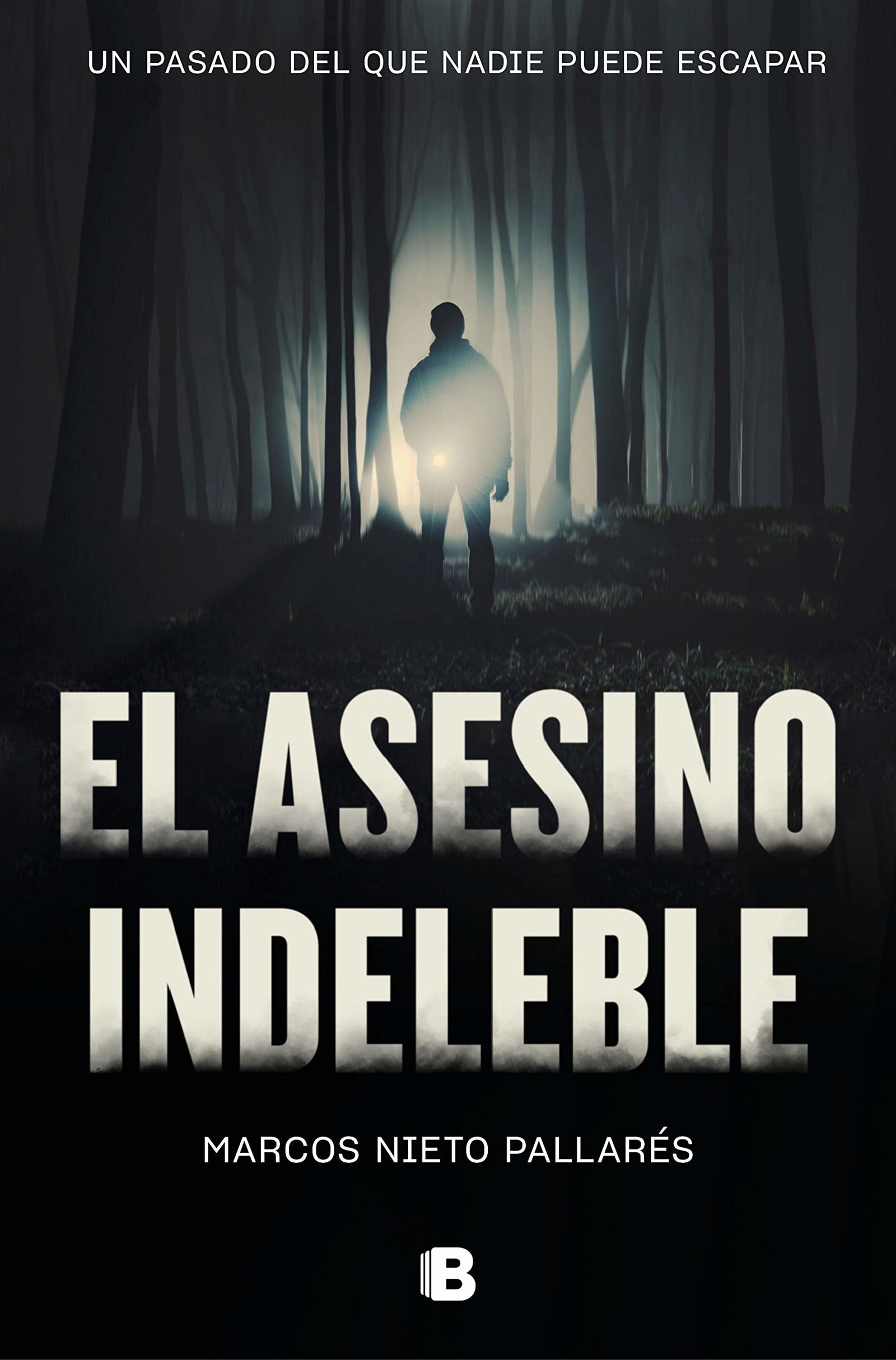 El asesino indeleble (La Trama)