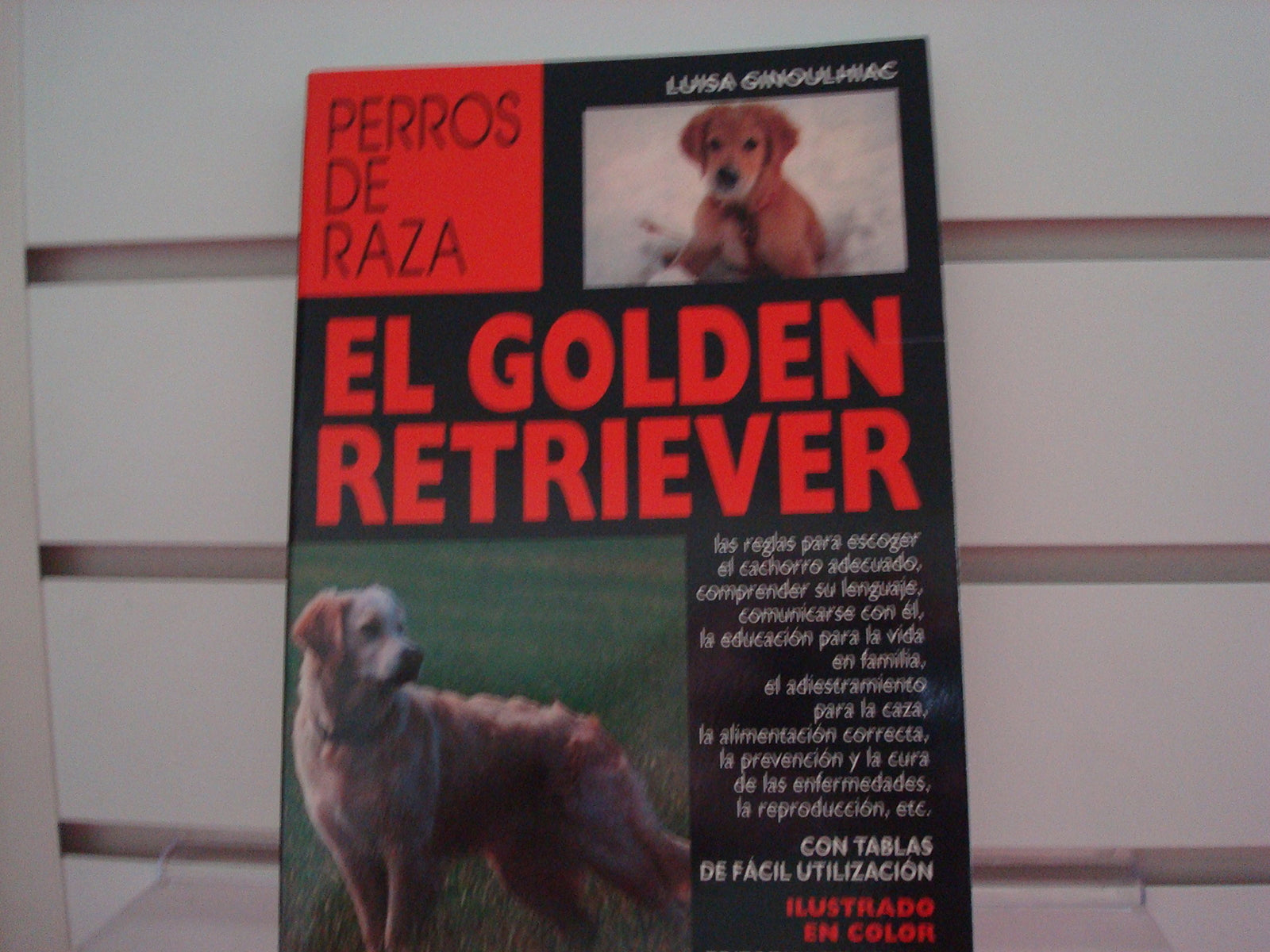 El golden retriever