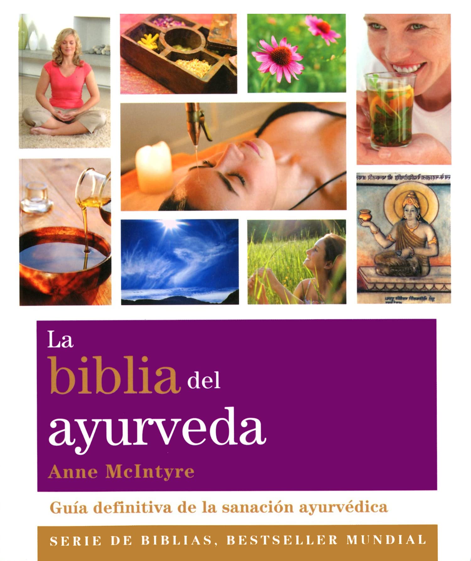 La biblia del ayurveda: Guía definitiva de la sanación ayurvédica (Biblias)