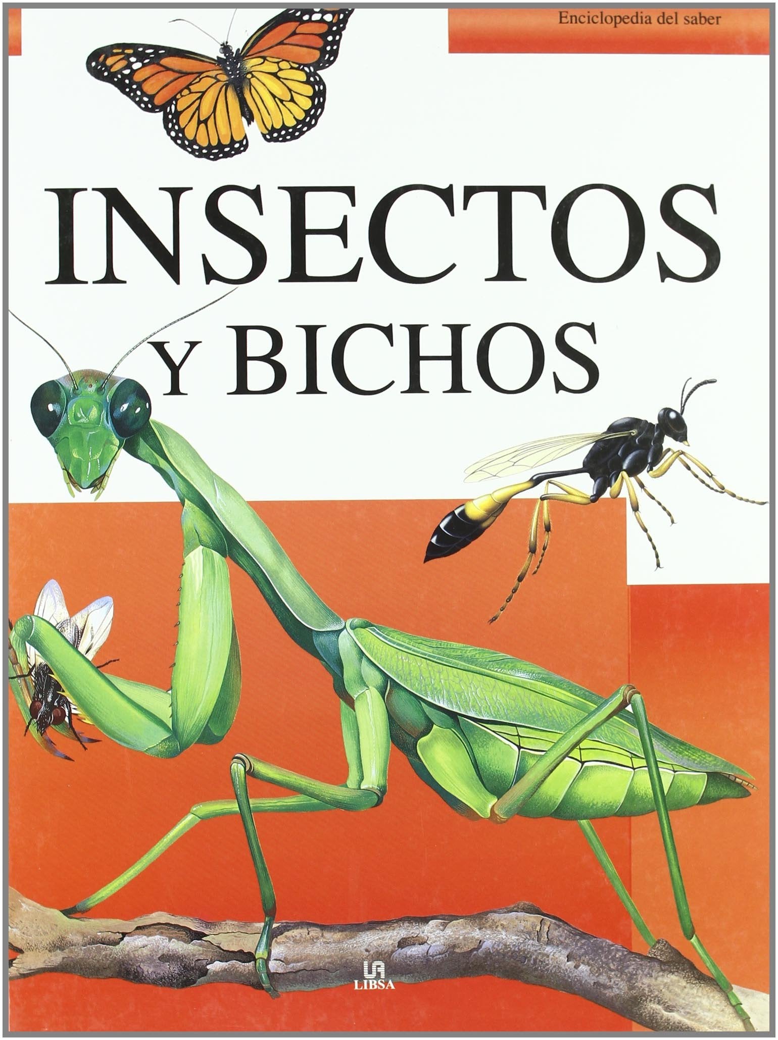 Insectos y Bichos (Enciclopedia del Saber)