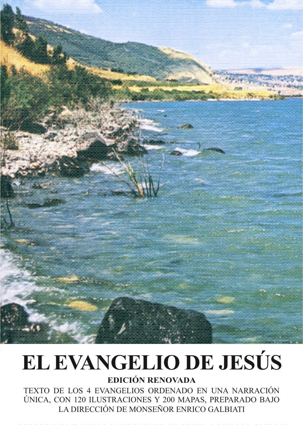El evangelio de Jesús (La storia della salvezza)