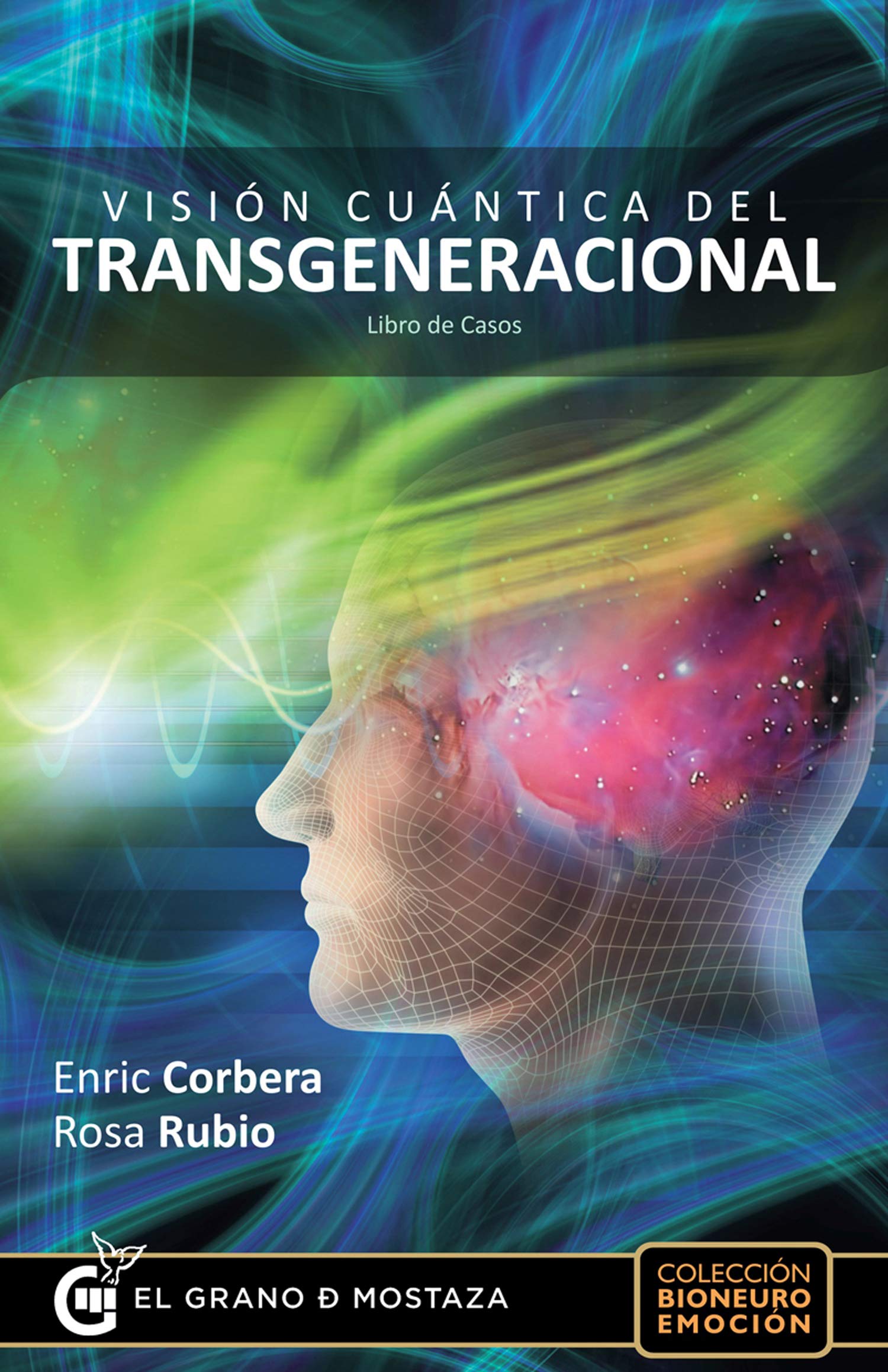 Visión Cuántica Del Transgeneracional: Libro de casos