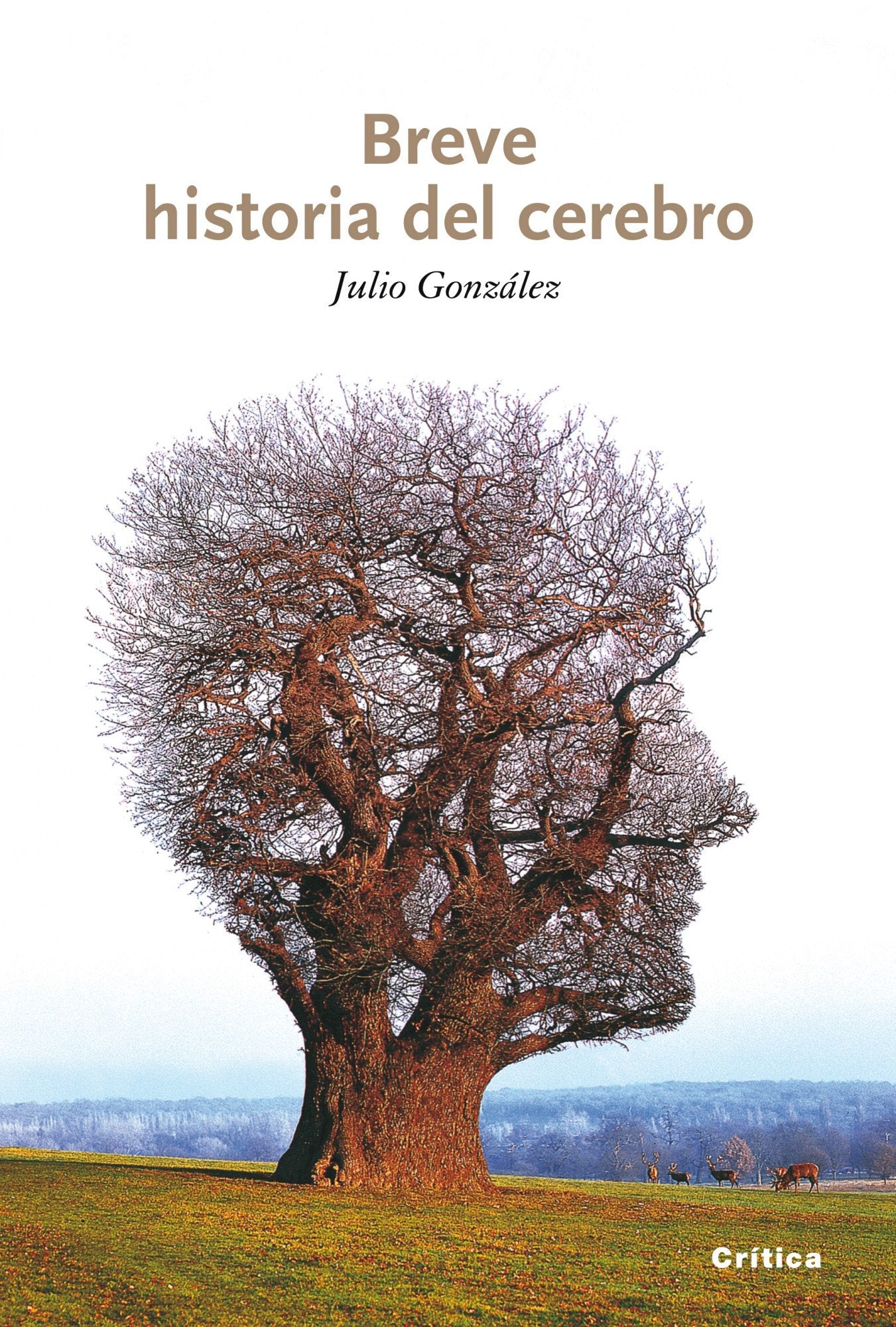 Breve historia del cerebro: 1 (Drakontos)