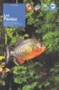 Peces rojos