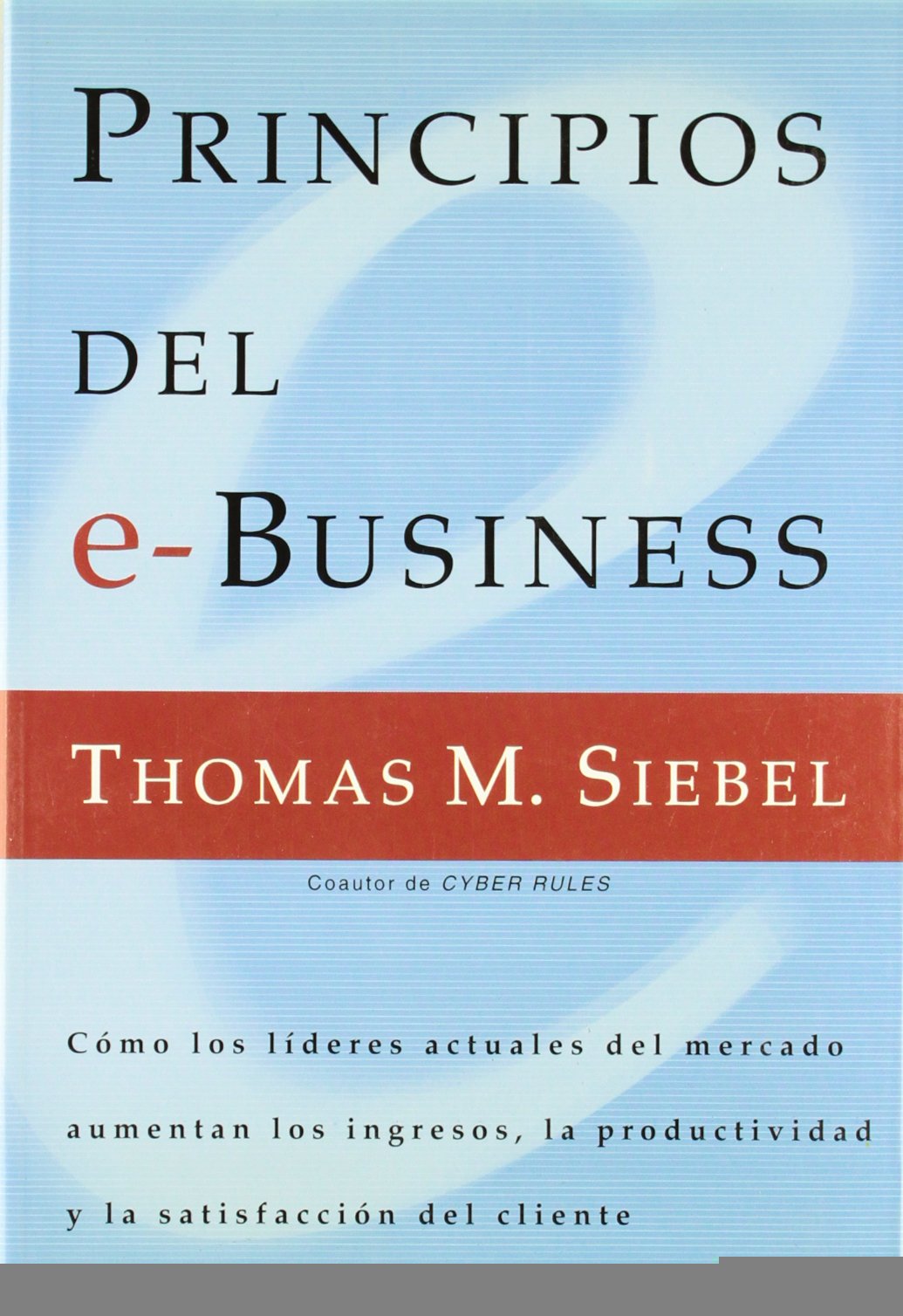 Principios del E-Business