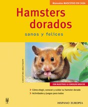 Hamsters dorados (Mascotas en casa)