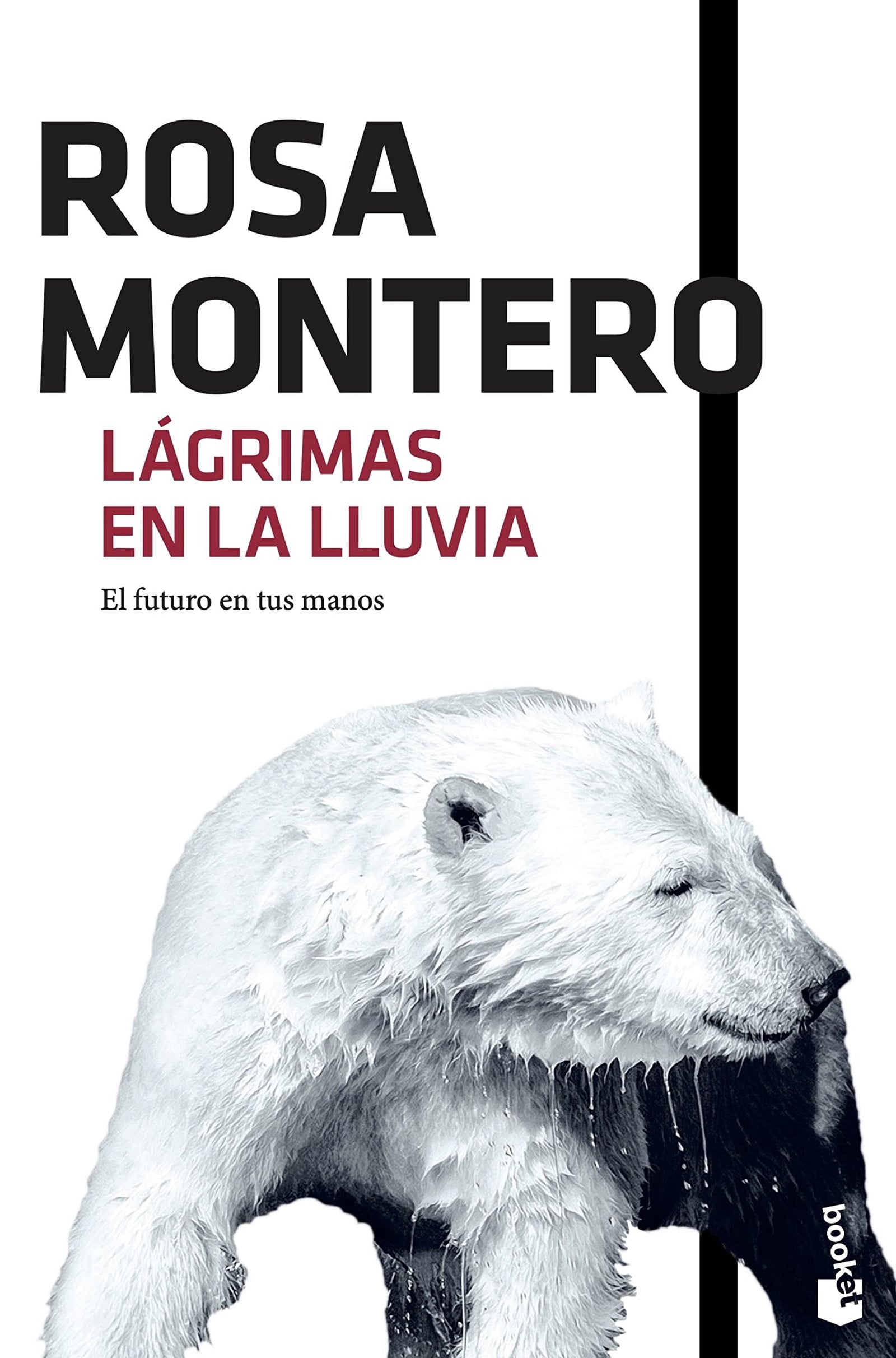 Lágrimas en la lluvia: 1 (Novela)