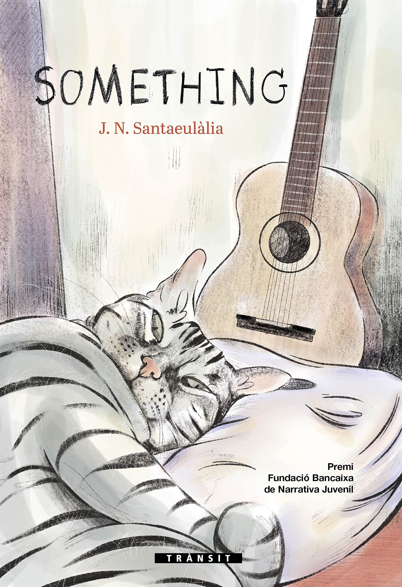 Something: 25 (Trànsit)