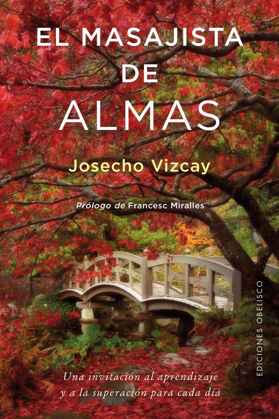 El masajista de almas (Coaching)
