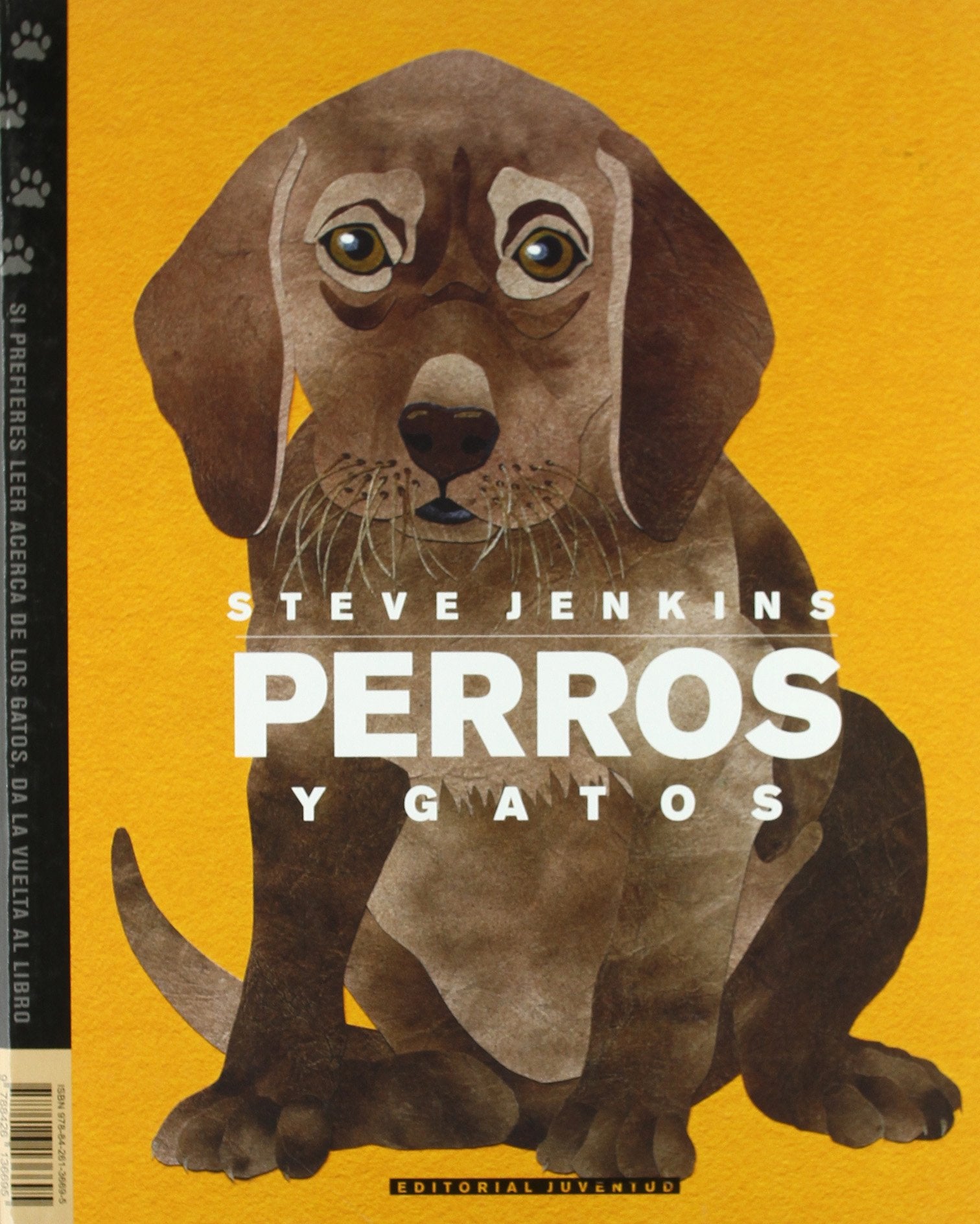 Perros y gatos (INFANTIL)