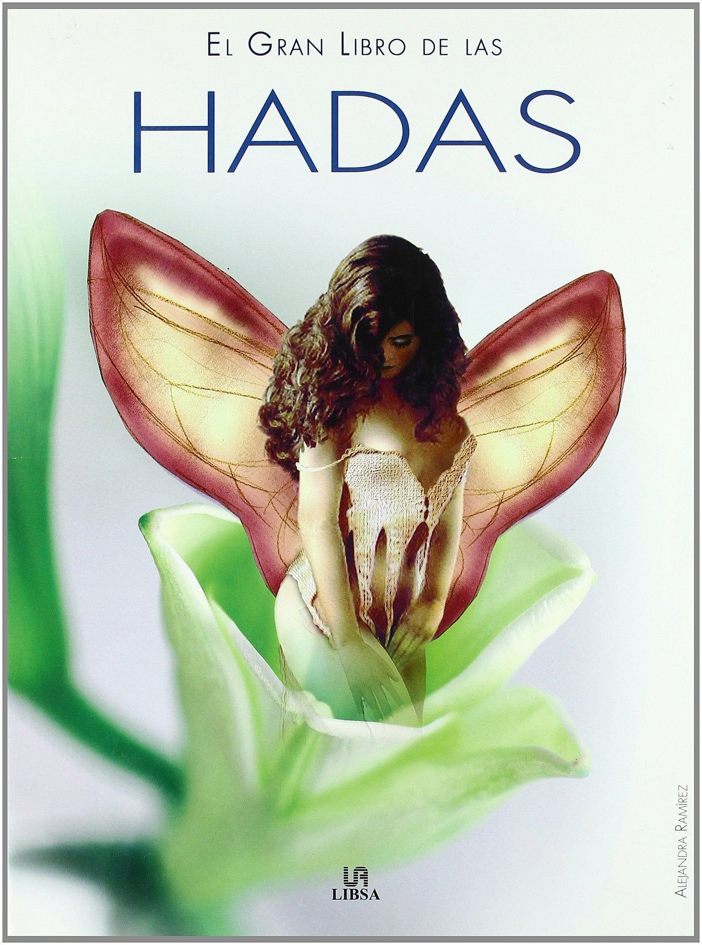 El Gran Libro de las Hadas (Grandes Temas)