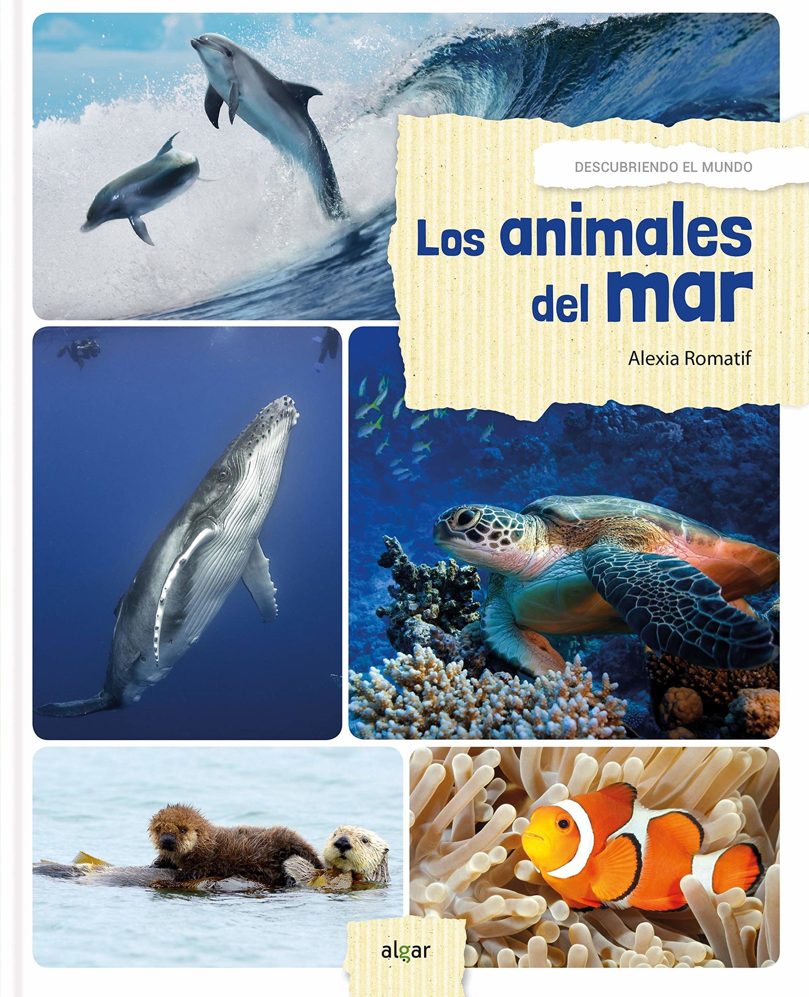 Los animales del mar: 73 (Álbumes ilustrados)