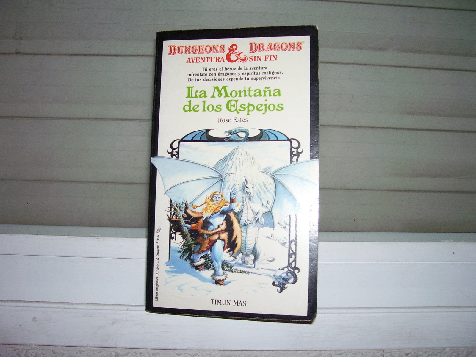 LA Montana De Los Espejos/Mountain of Mirrors (Dungeons & Dragons Endless Quest Books)