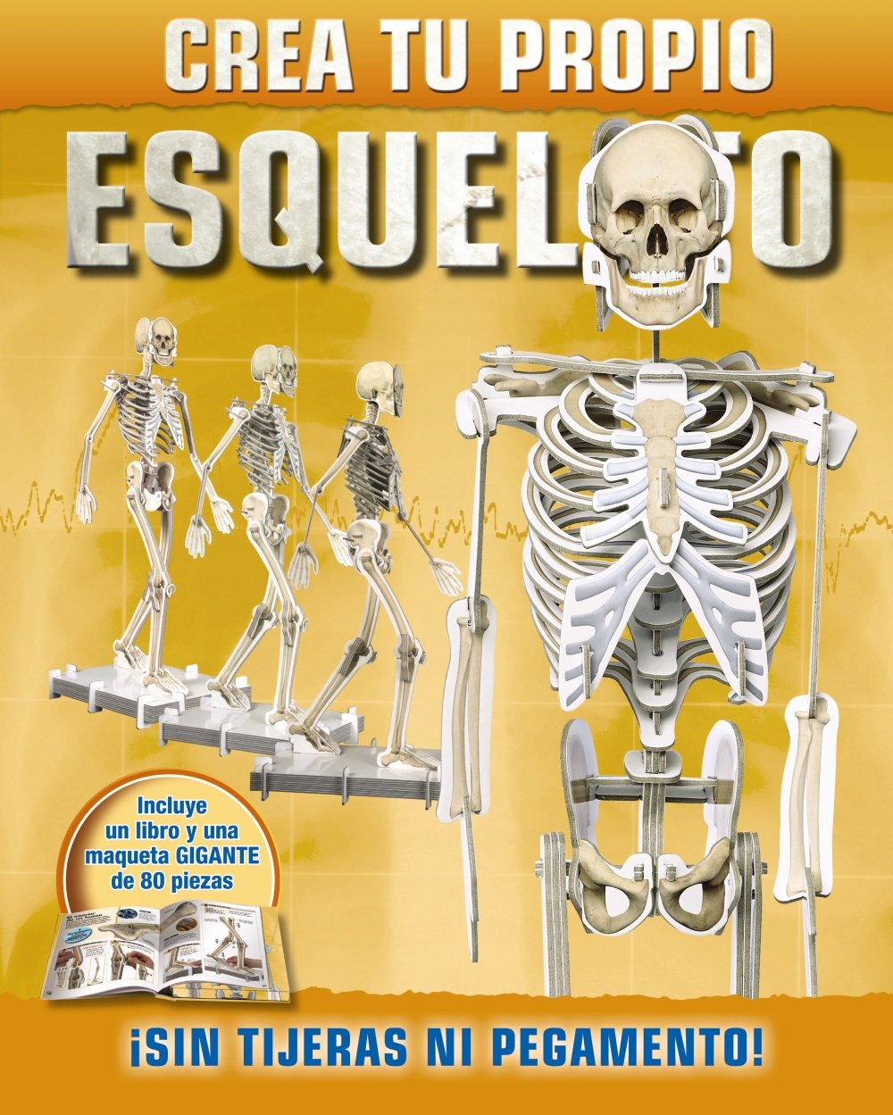Crea tu propio esqueleto (Castellano - A Partir De 8 Años - Álbumes - Crea Tu Propio)
