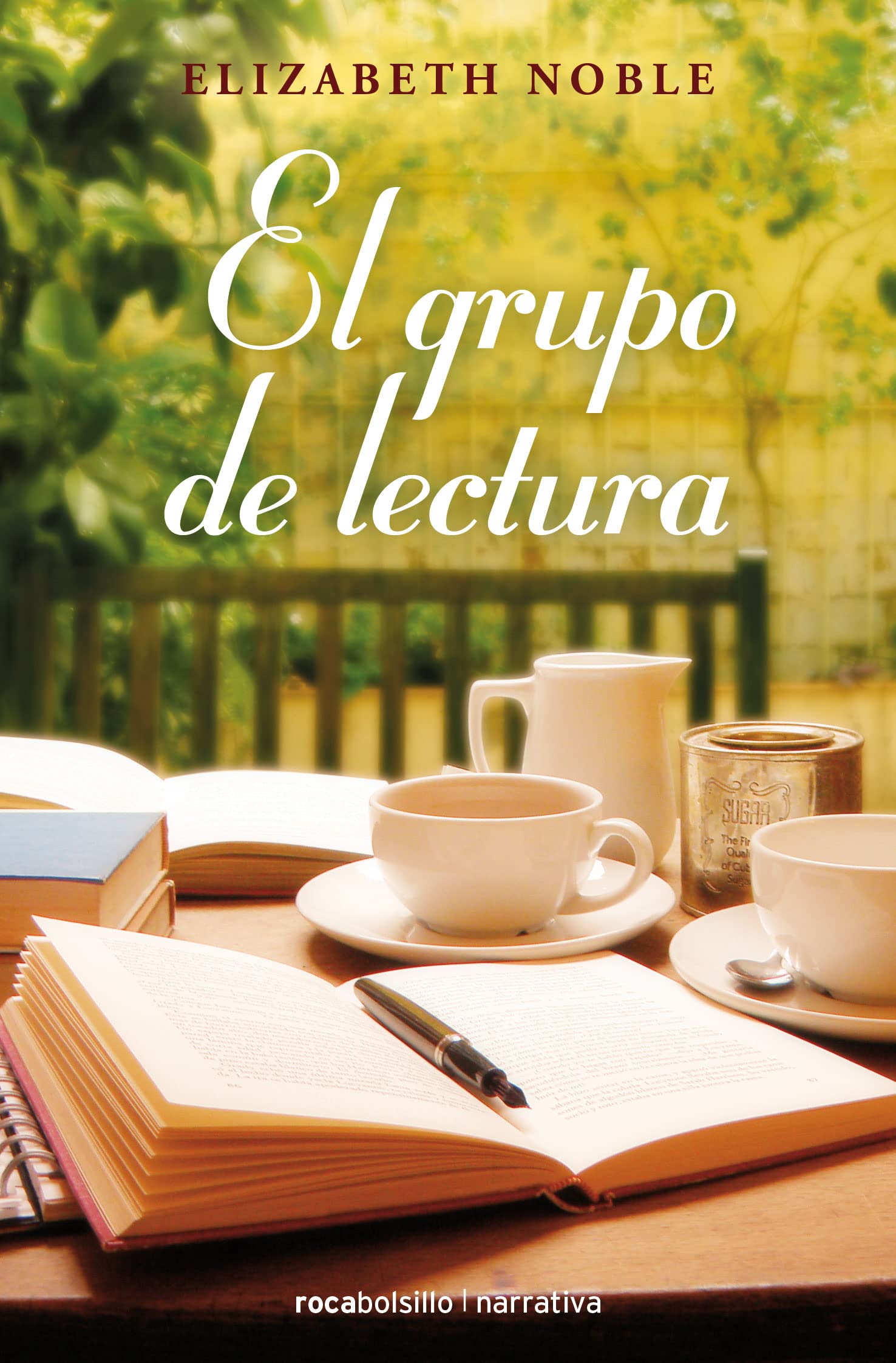 El grupo de lectura (Rocabolsillo Ficcion)