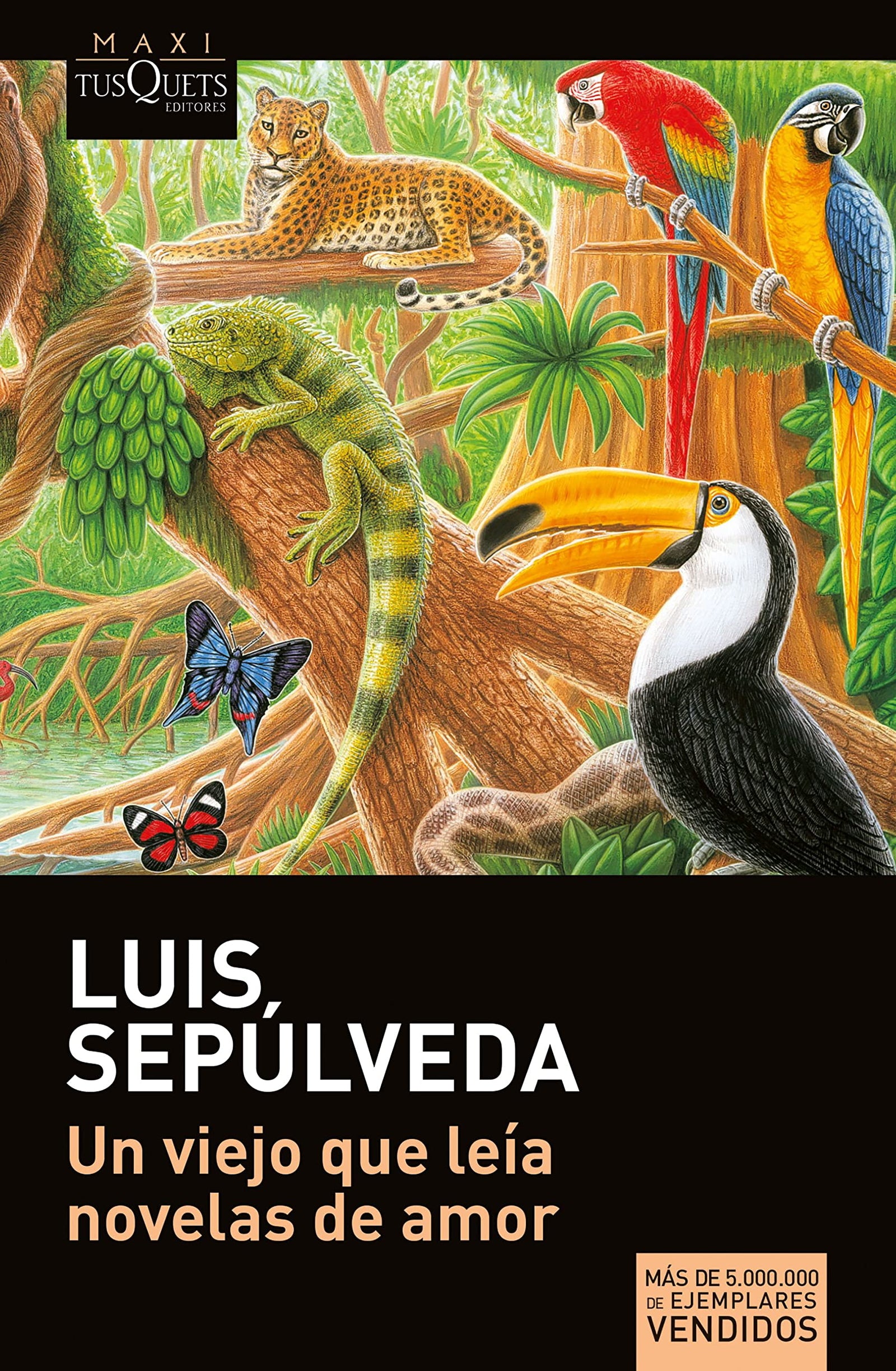 Un viejo que leía novelas de amor (MAXI)