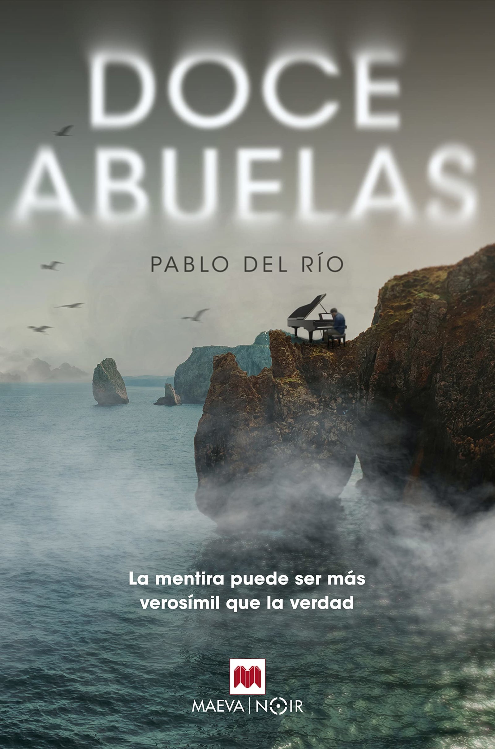 Doce abuelas: Novela negra con humor irónico e investigadores atípicos (MAEVA noir)