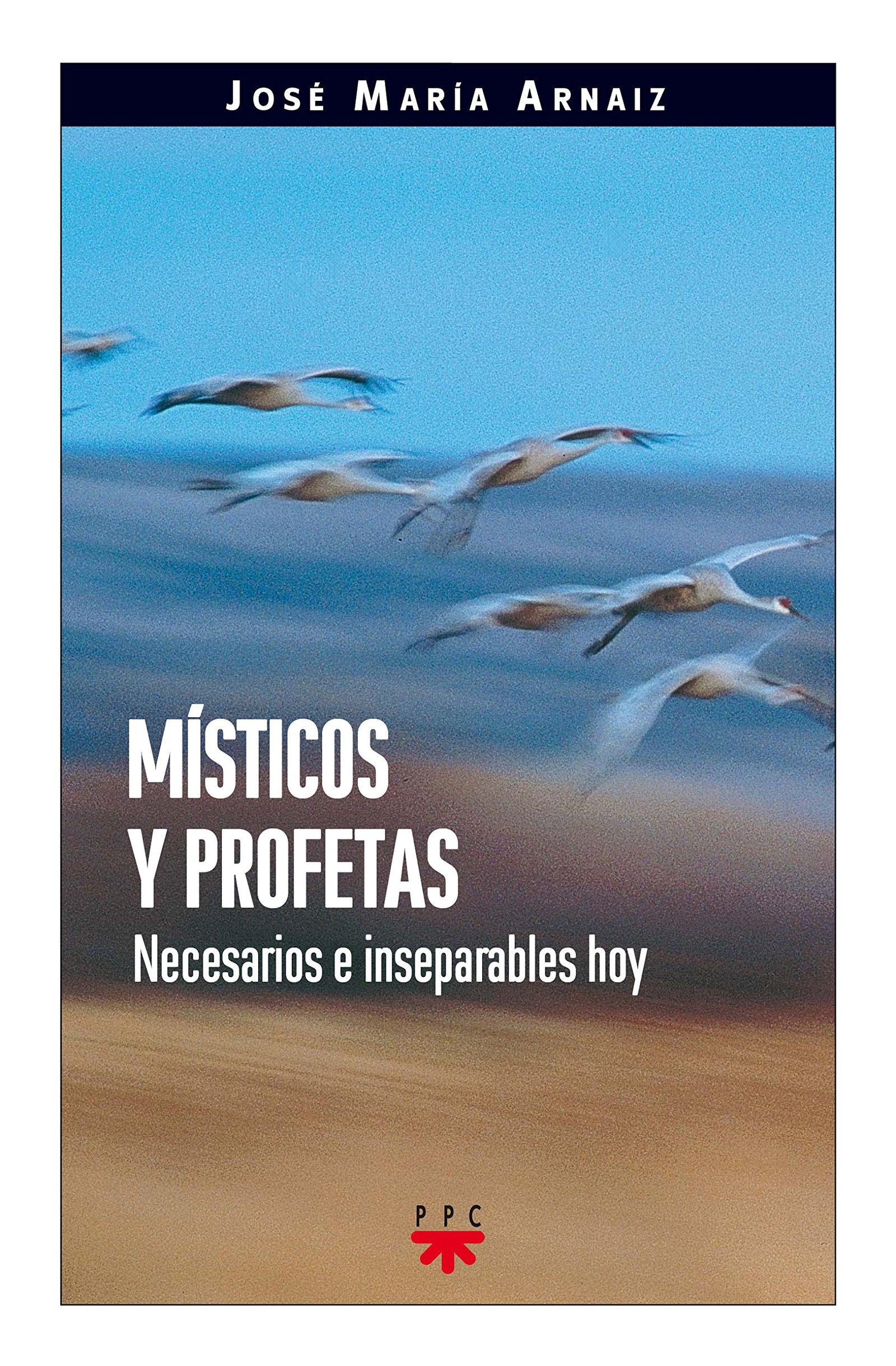 Místicos Y Profetas: Necesarios e inseparables hoy: 81 (GP Actualidad)