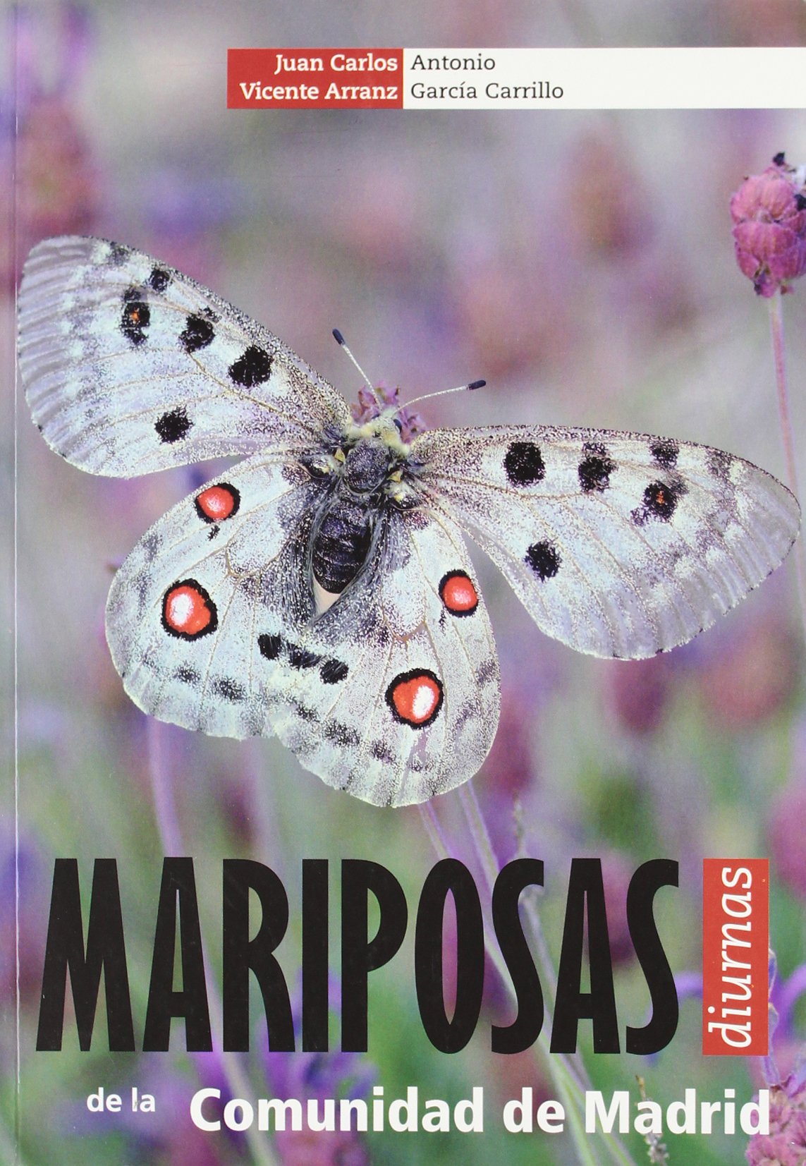 Mariposas diurnas de la comunidad de Madrid