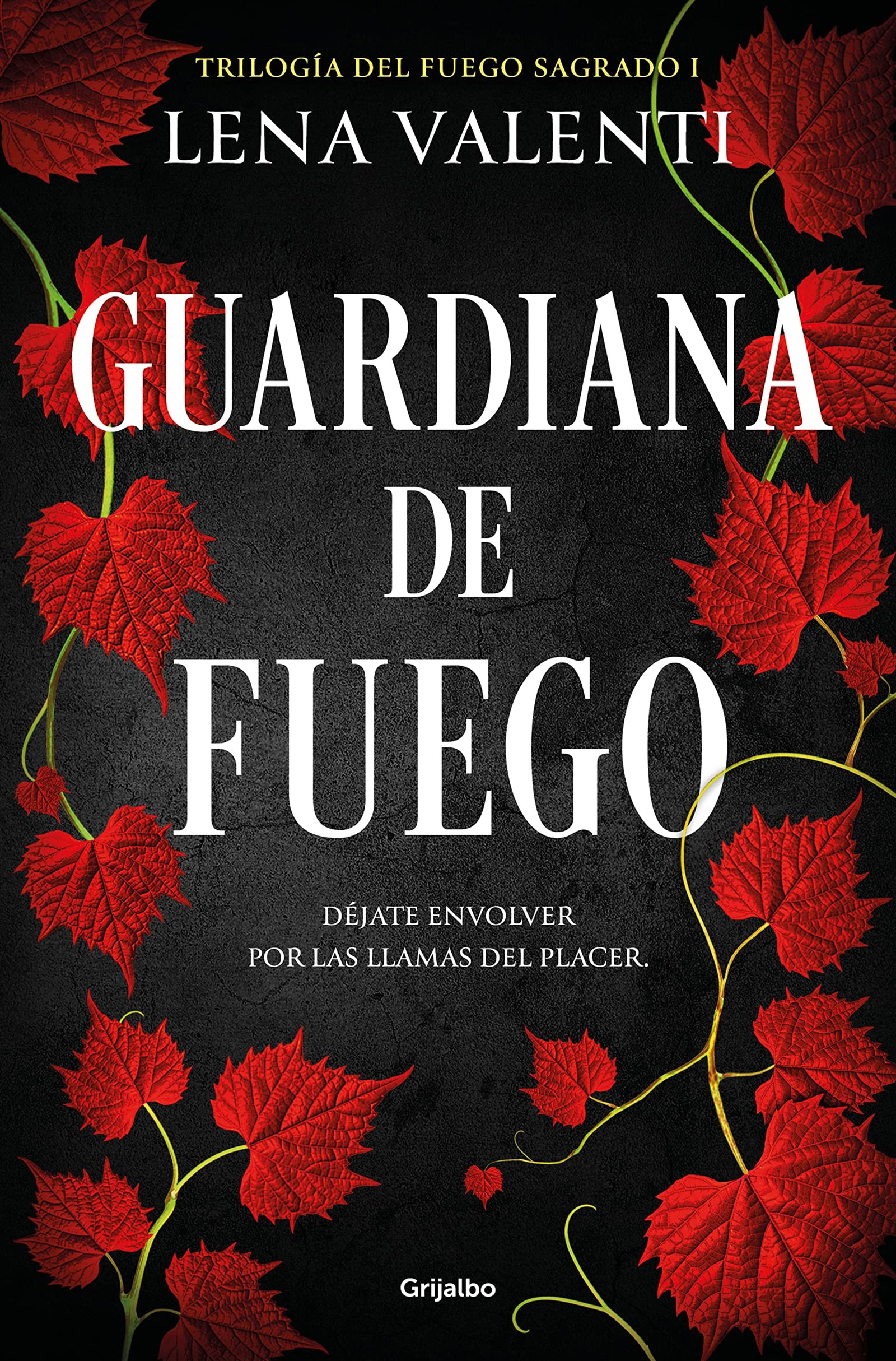 Guardiana de fuego (Trilogía del Fuego Sagrado 1) (Ficción) - Español