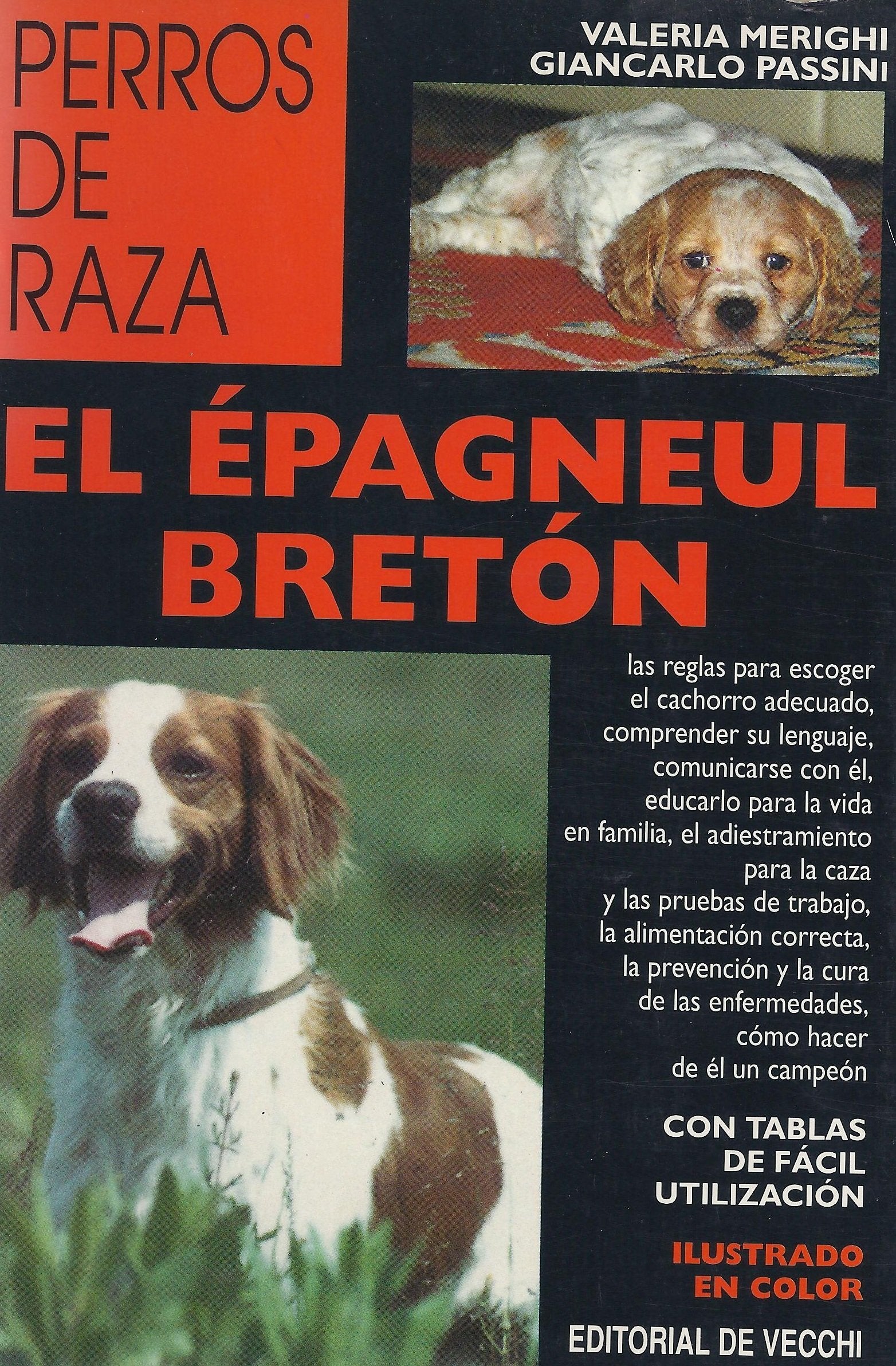 El epagneul breton