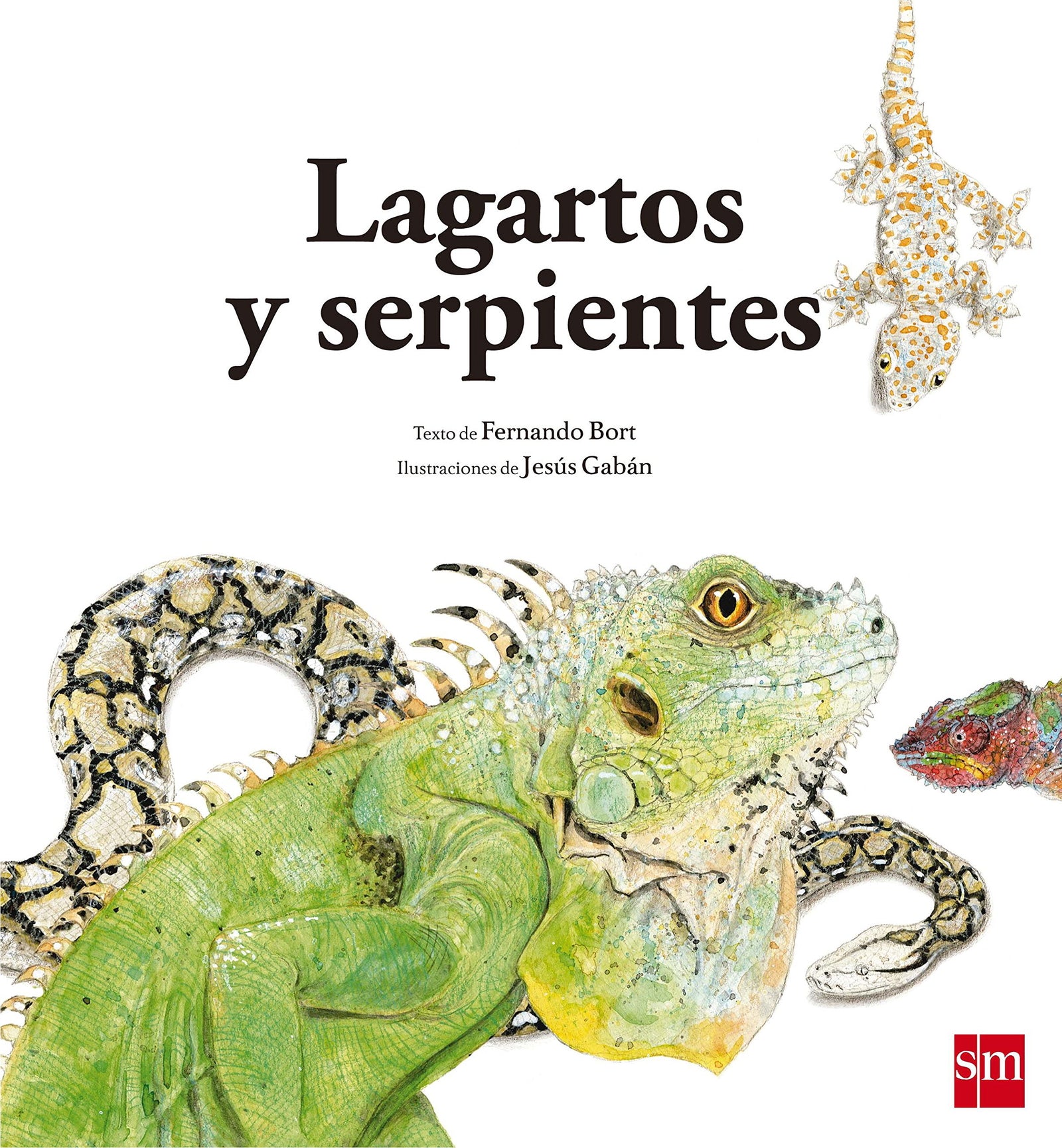 Lagartos y serpientes: 3 (Naturaleza)