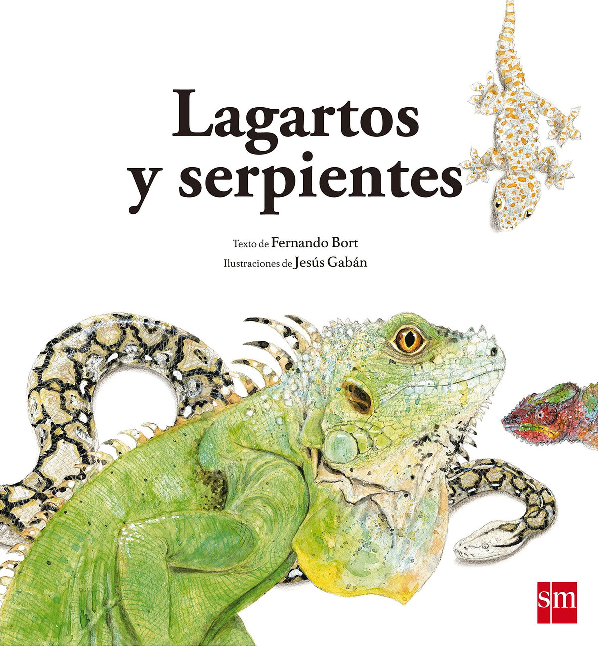 Lagartos y serpientes: 3 (Naturaleza)