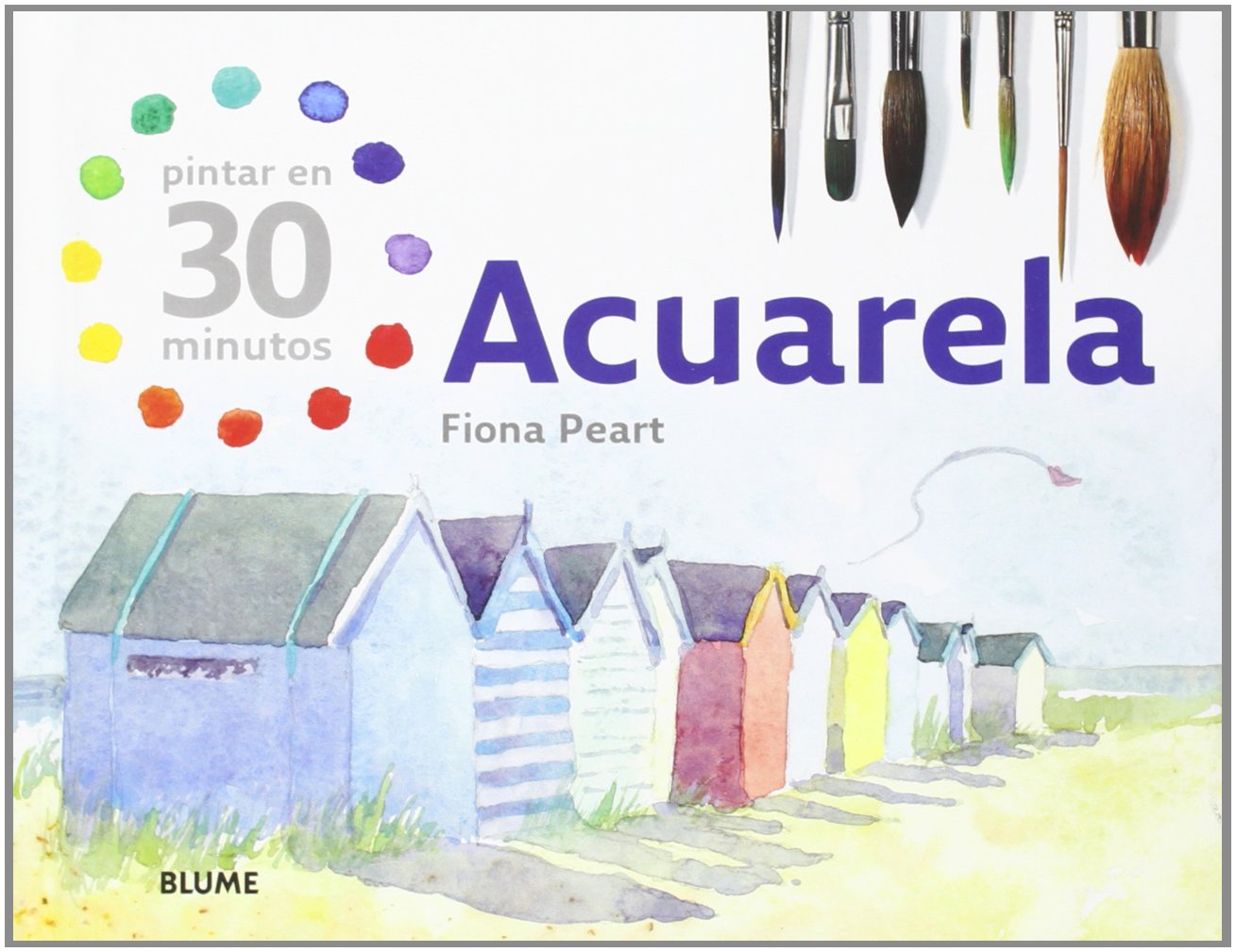 Pintar en 30 minutos. Acuarela: ACUARELA. PINTAR EN 30 MINUTOS